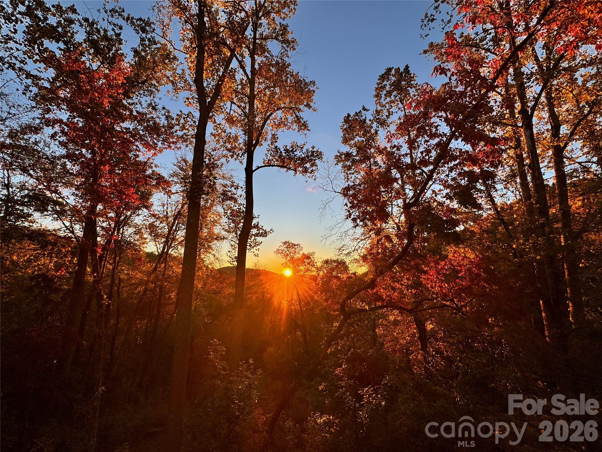 1367 Old Mill Road — Hendersonville