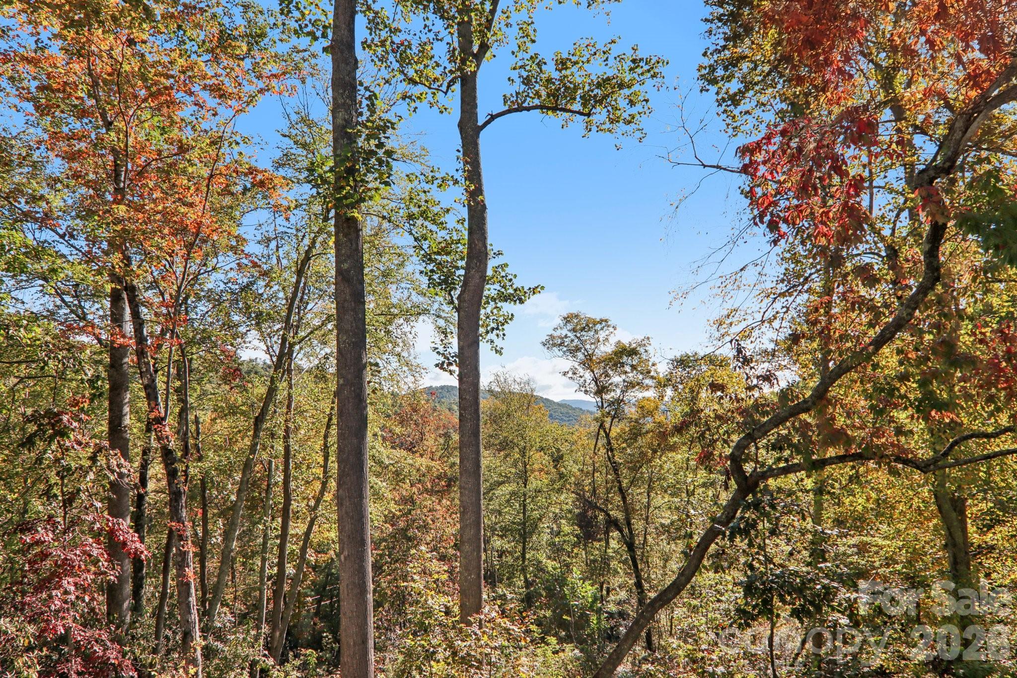 1367 Old Mill Road — Hendersonville