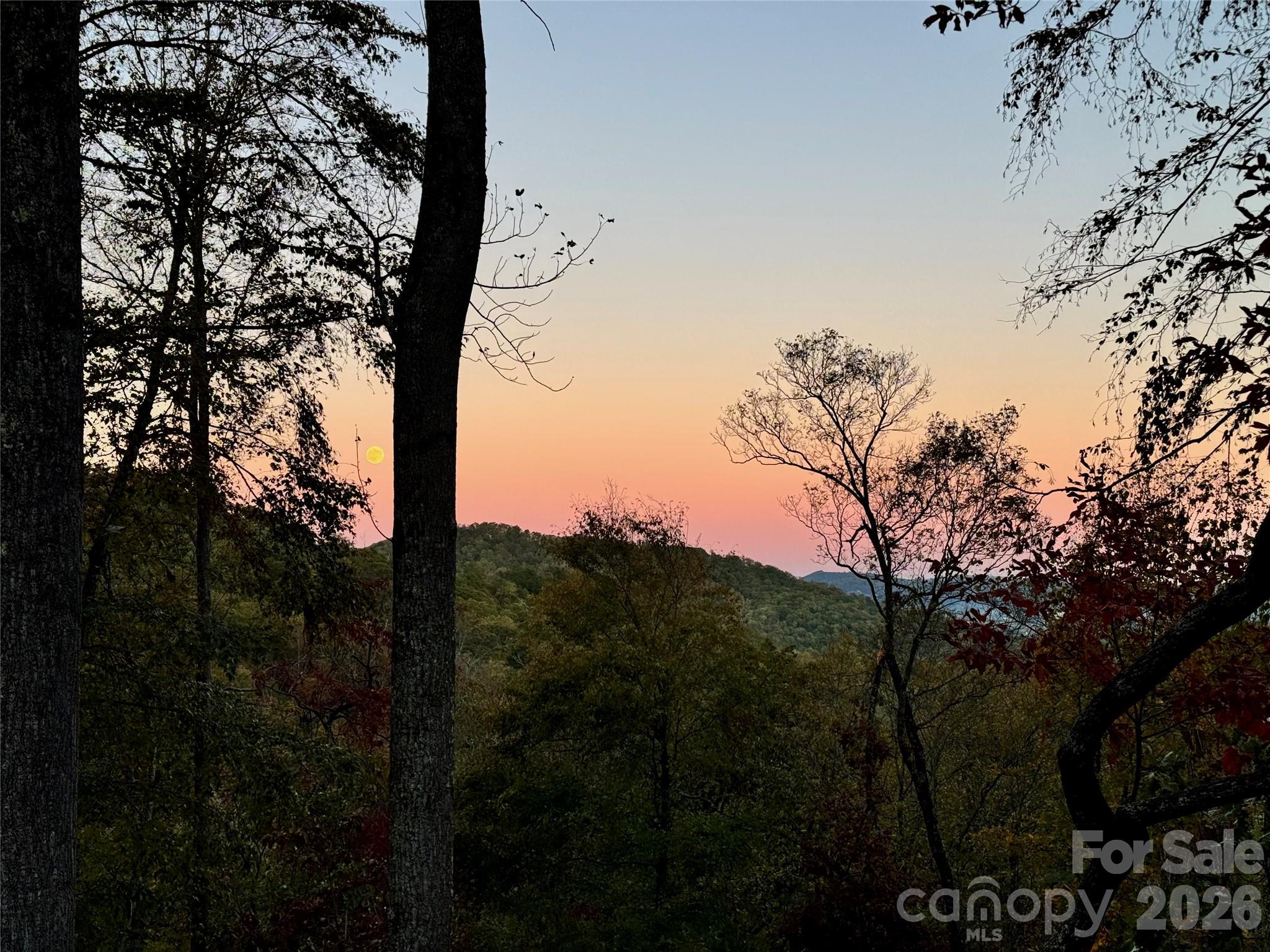 1367 Old Mill Road — Hendersonville