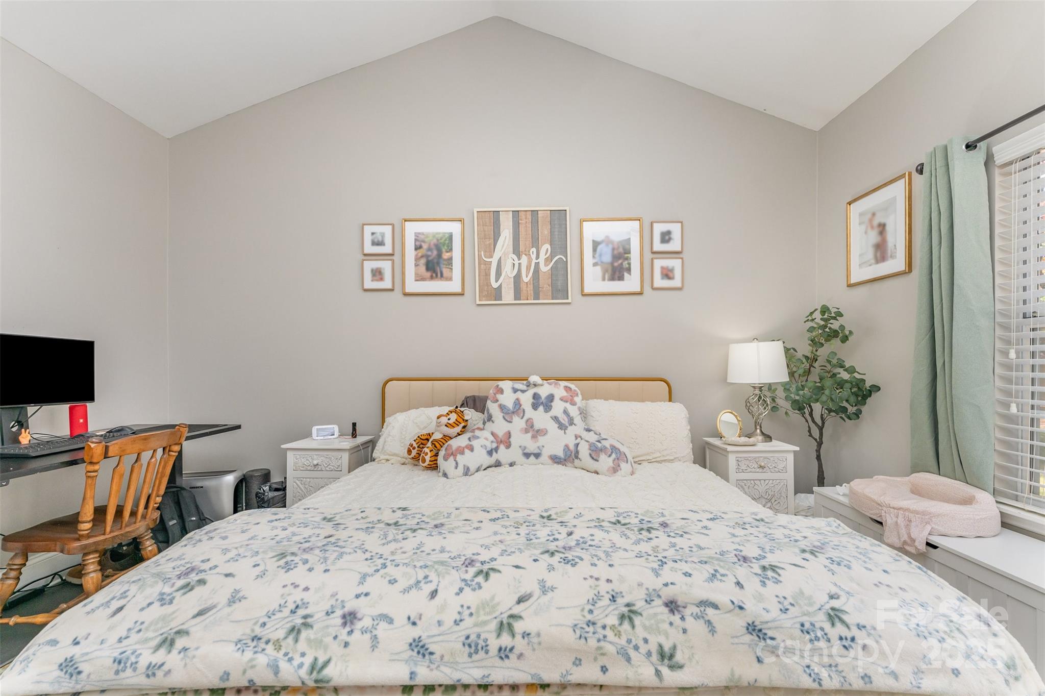 7024 Passeres Court — Charlotte