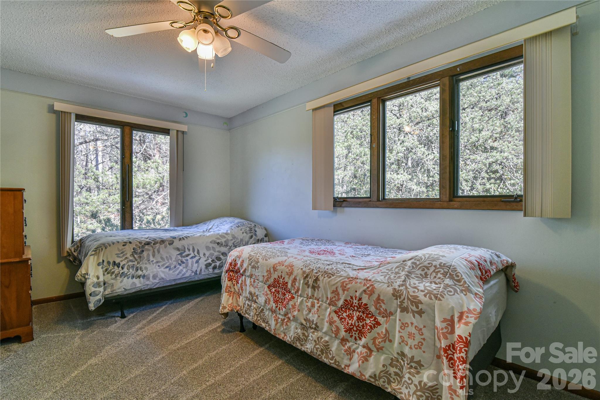 1 Lynx Drive #C-1 — Black Mountain