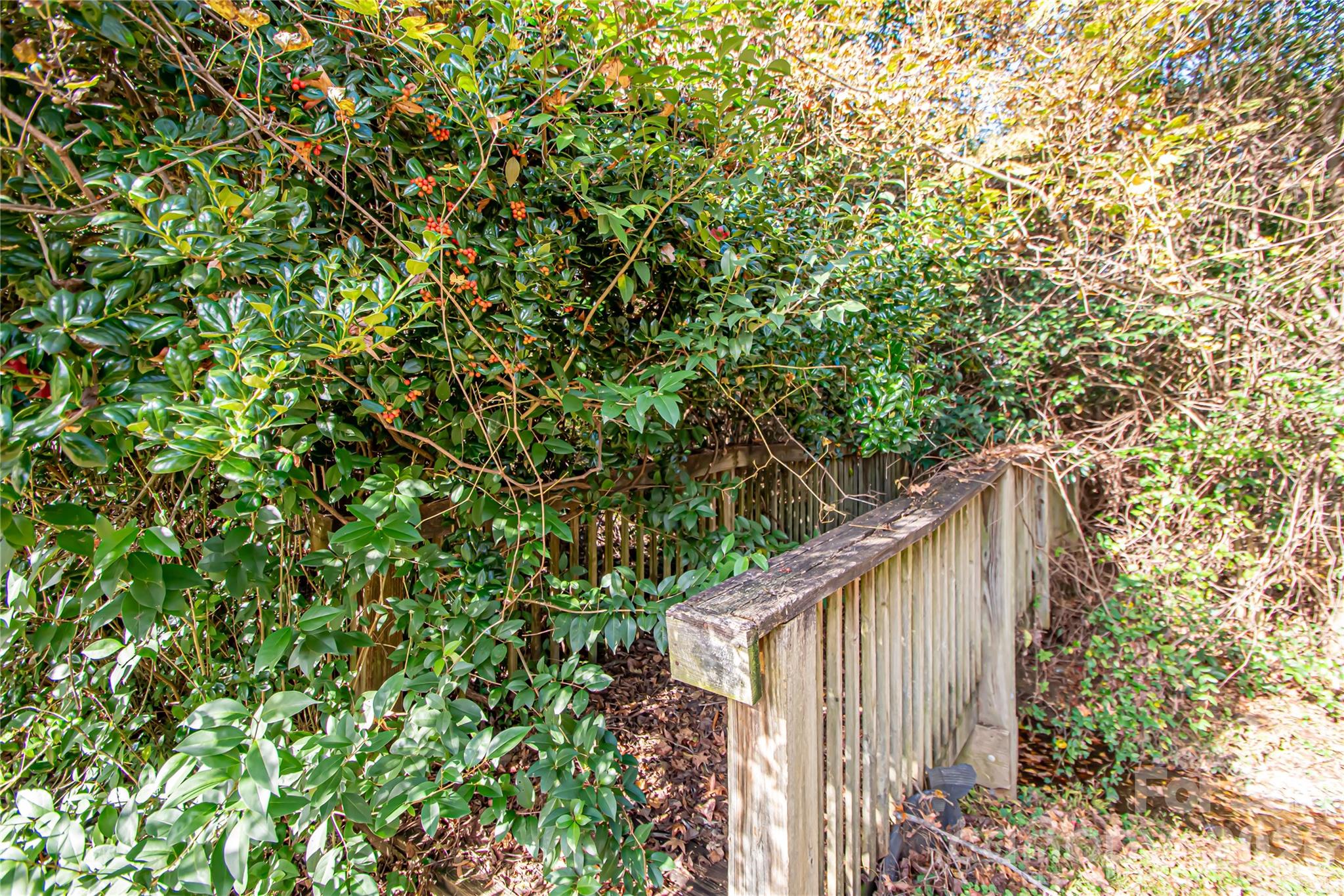 1741 Dallas Avenue — Charlotte