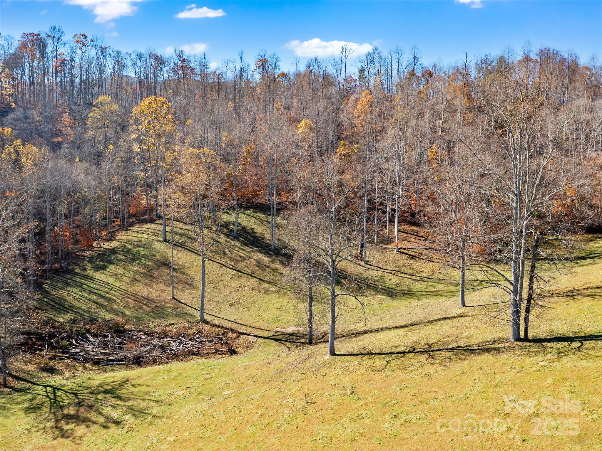 321 Lyle Lane — Green Mountain
