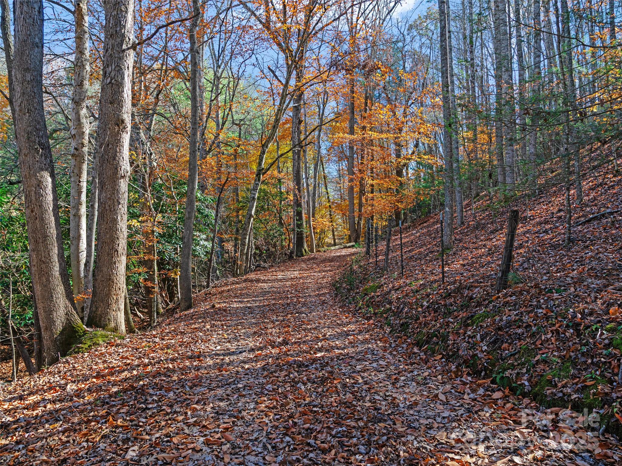 321 Lyle Lane — Green Mountain