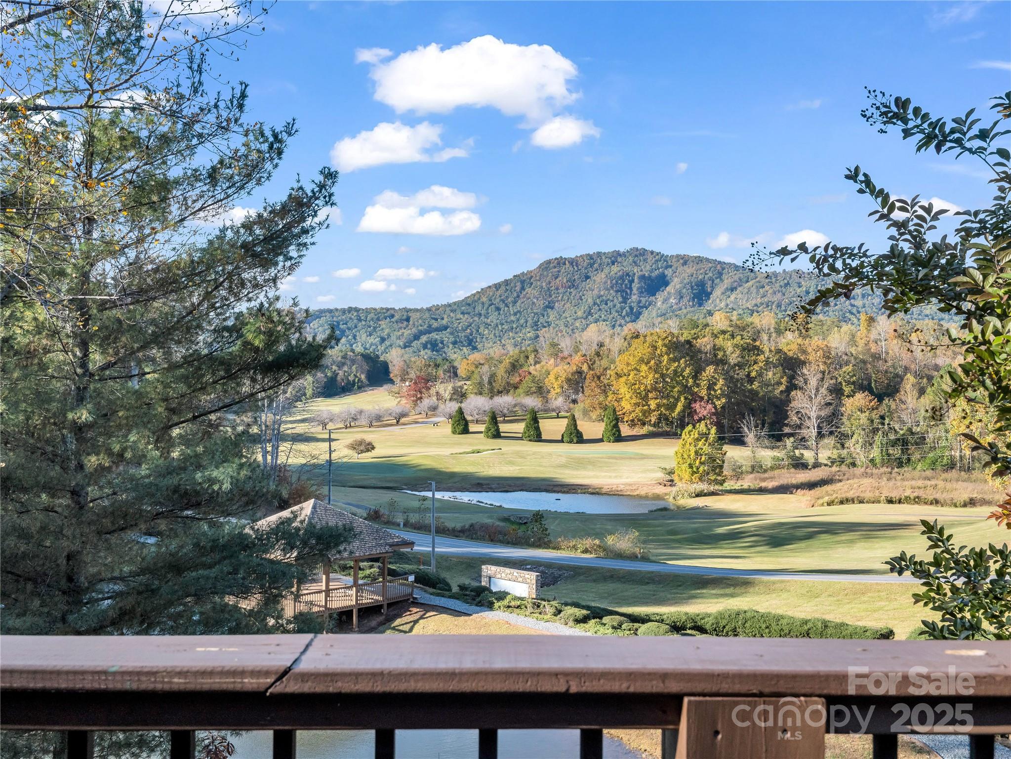 134 Raleigh Drive — Lake Lure