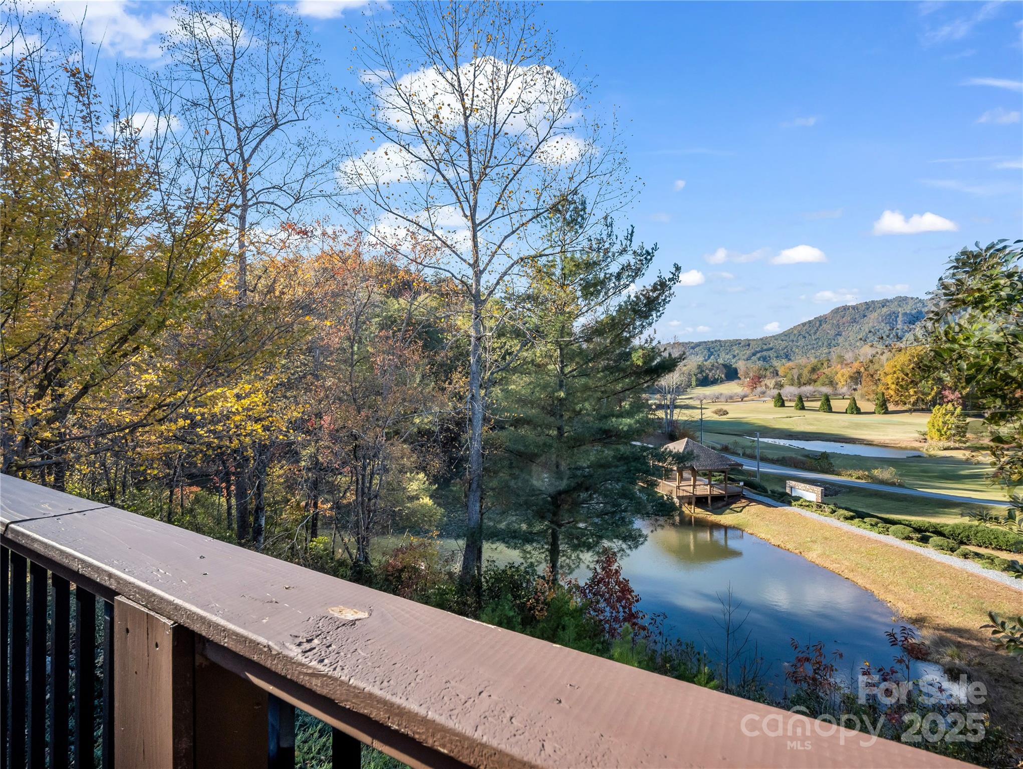 134 Raleigh Drive — Lake Lure