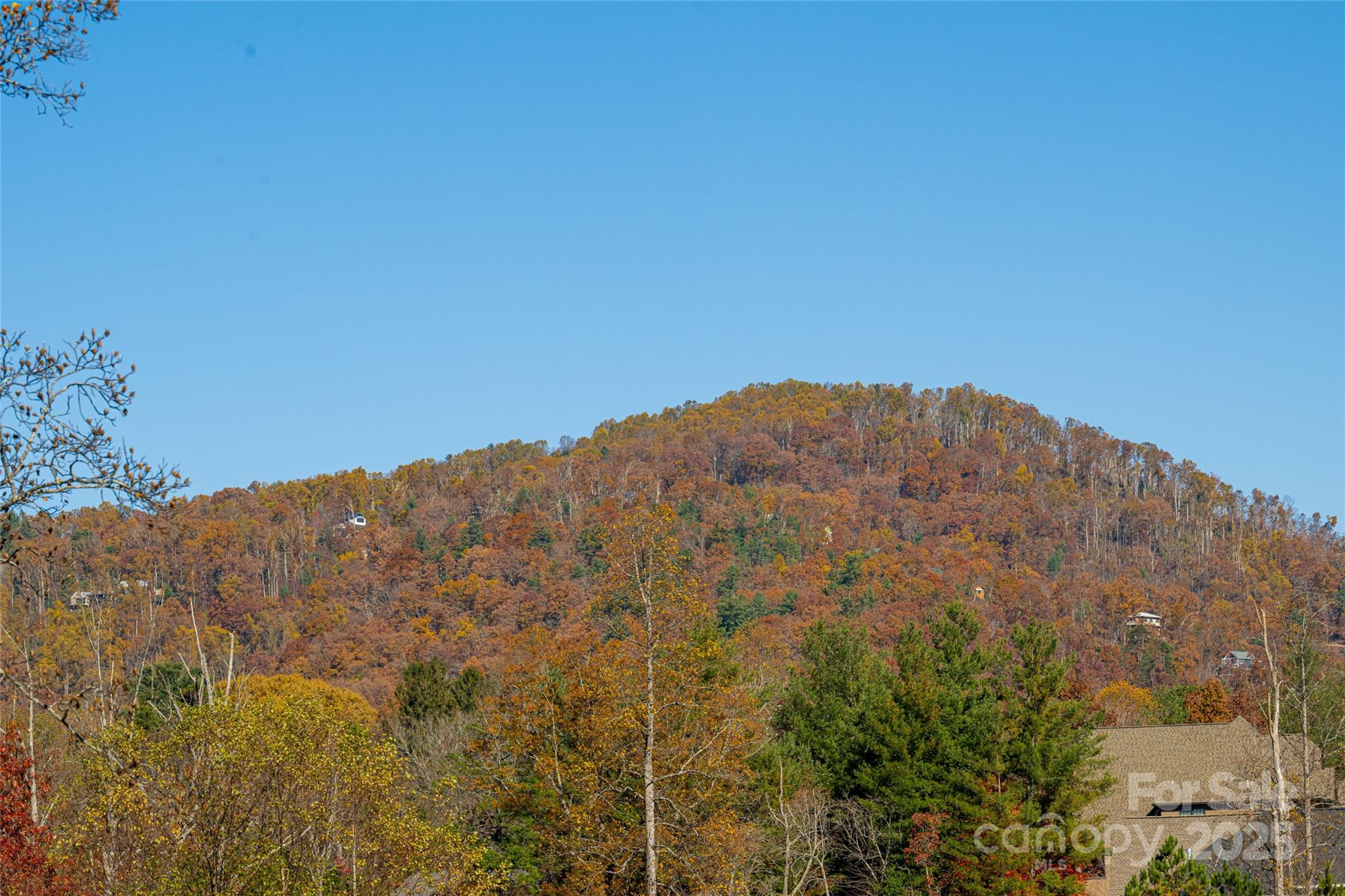 38 Chantilly Drive — Asheville