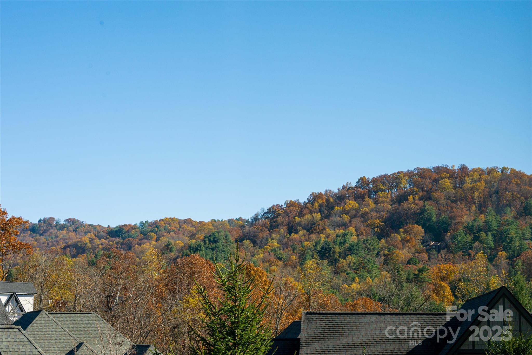 38 Chantilly Drive — Asheville