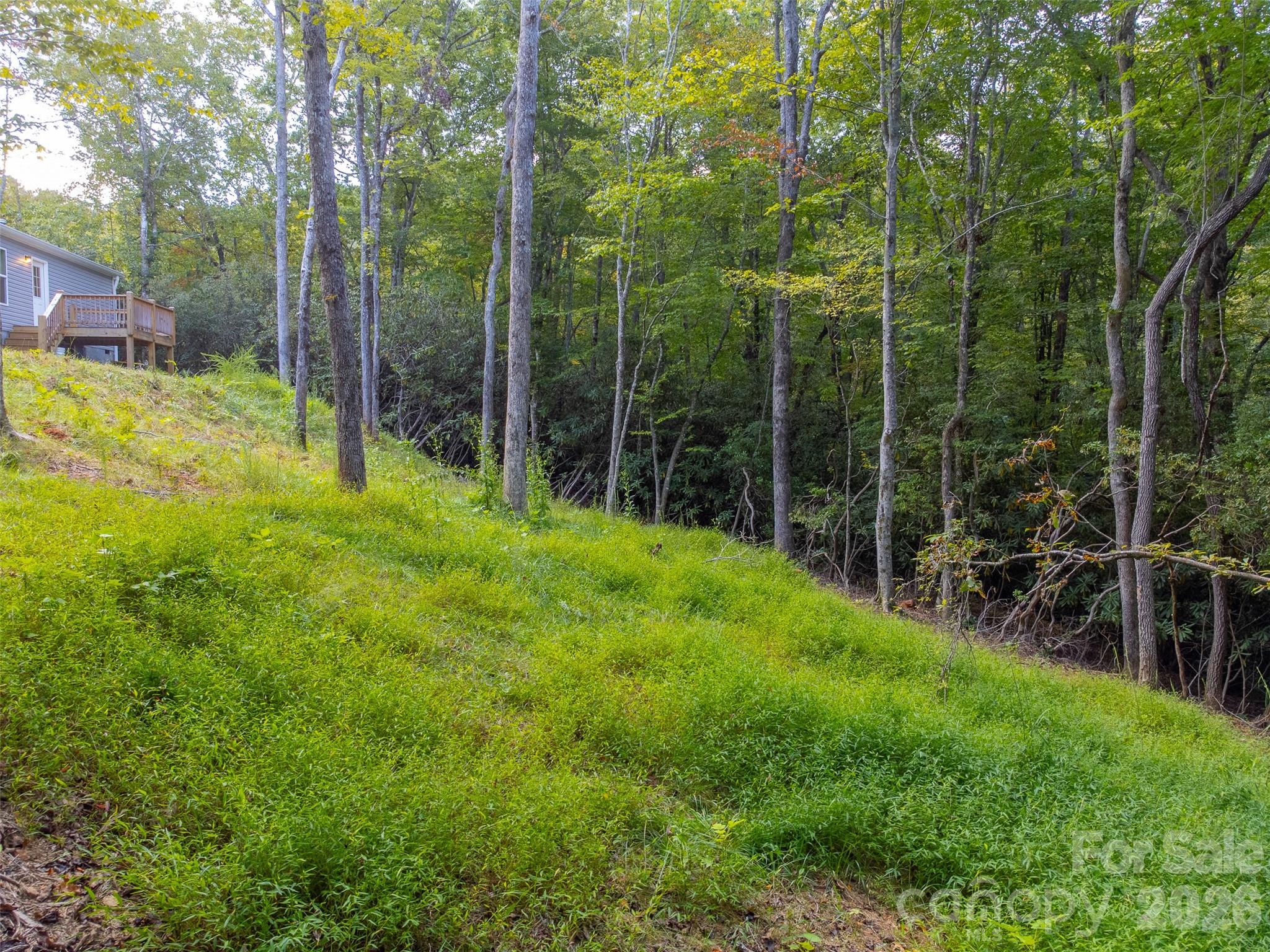 75 Windswept Lane — Hayesville