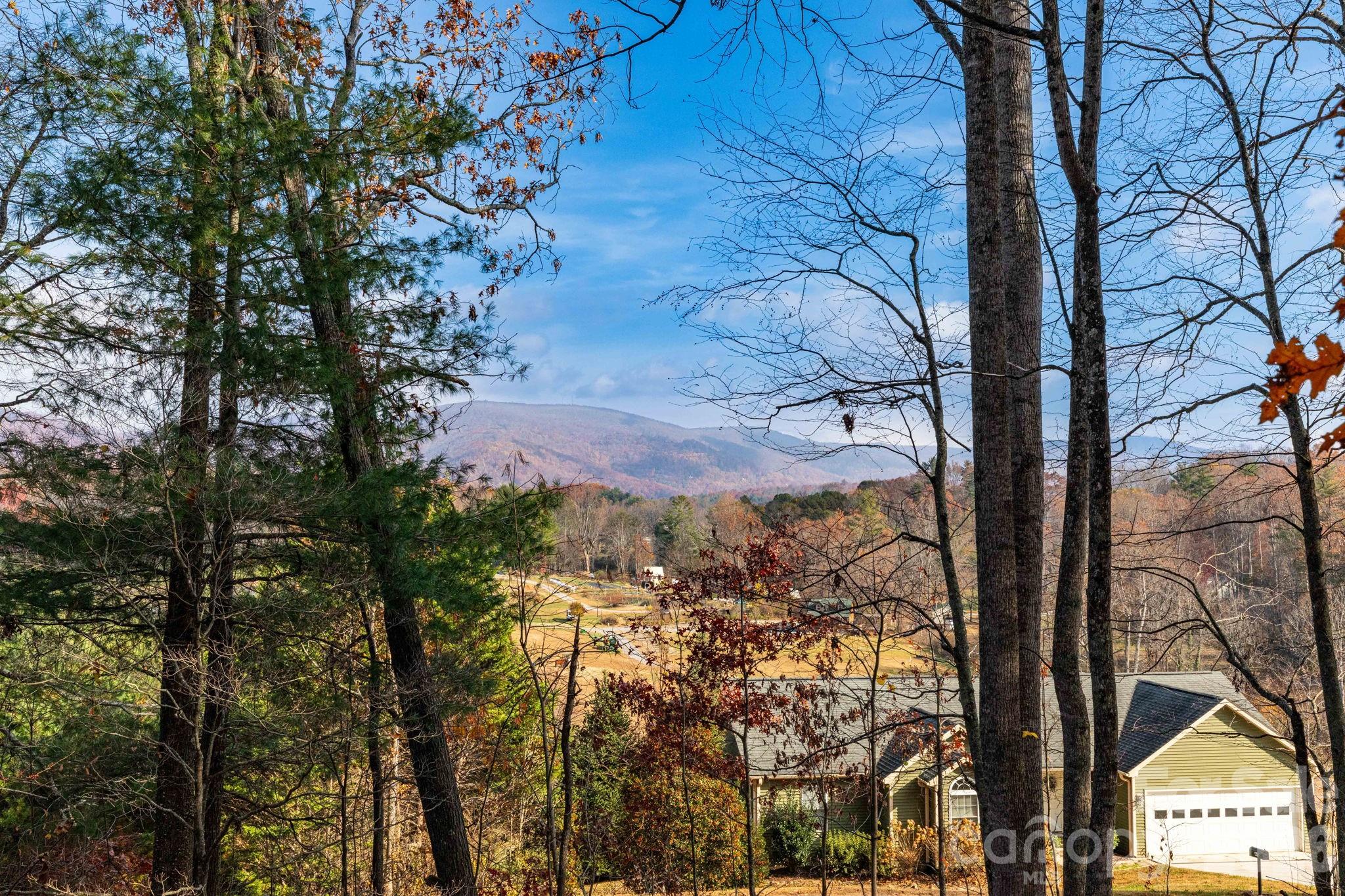 84 Joe jenkins Road — Fairview