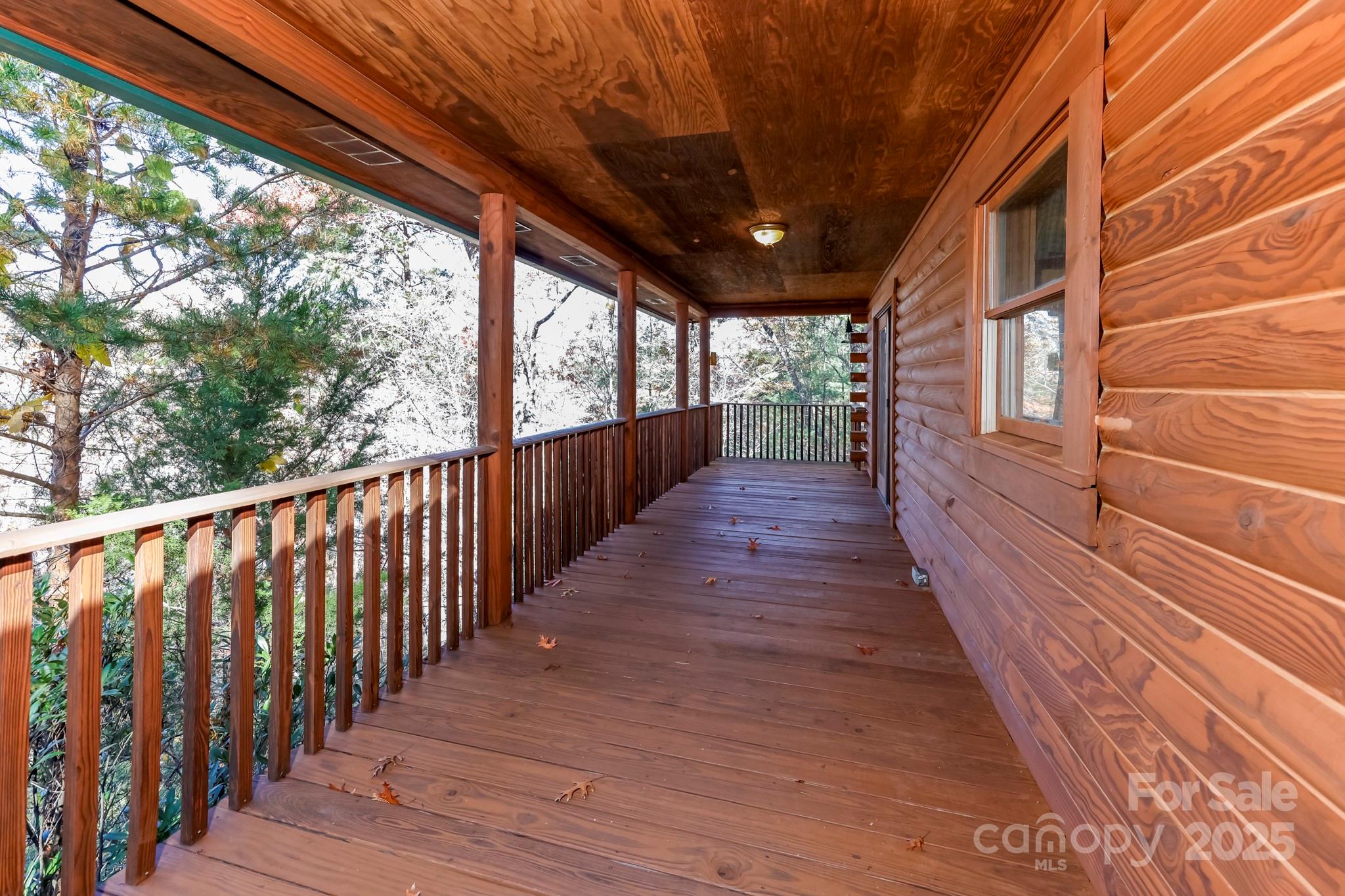 114 Birddog Boulevard — Lake Lure