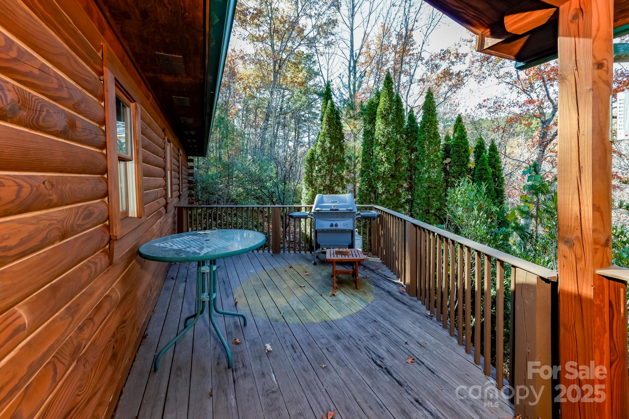 114 Birddog Boulevard — Lake Lure