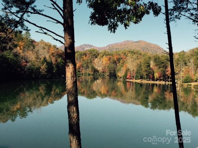 114 Birddog Boulevard — Lake Lure