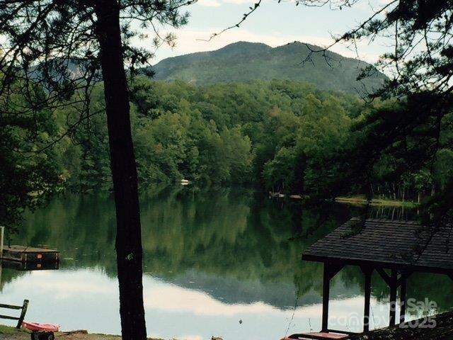 114 Birddog Boulevard — Lake Lure