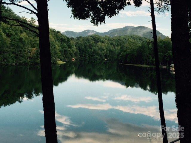114 Birddog Boulevard — Lake Lure