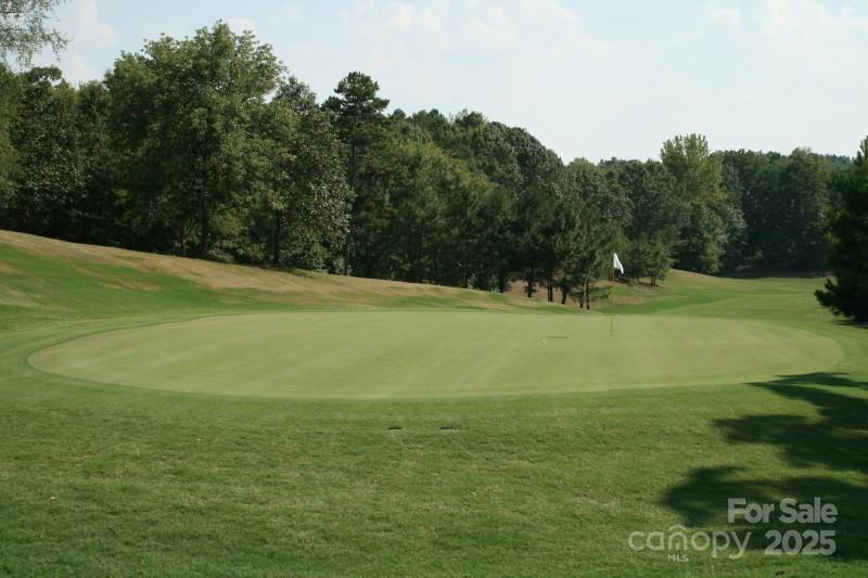 11055 Holiday Cove Road — Tega Cay