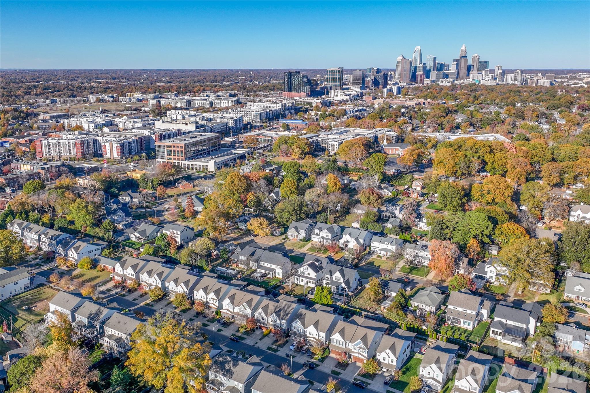 411 Belton Street — Charlotte