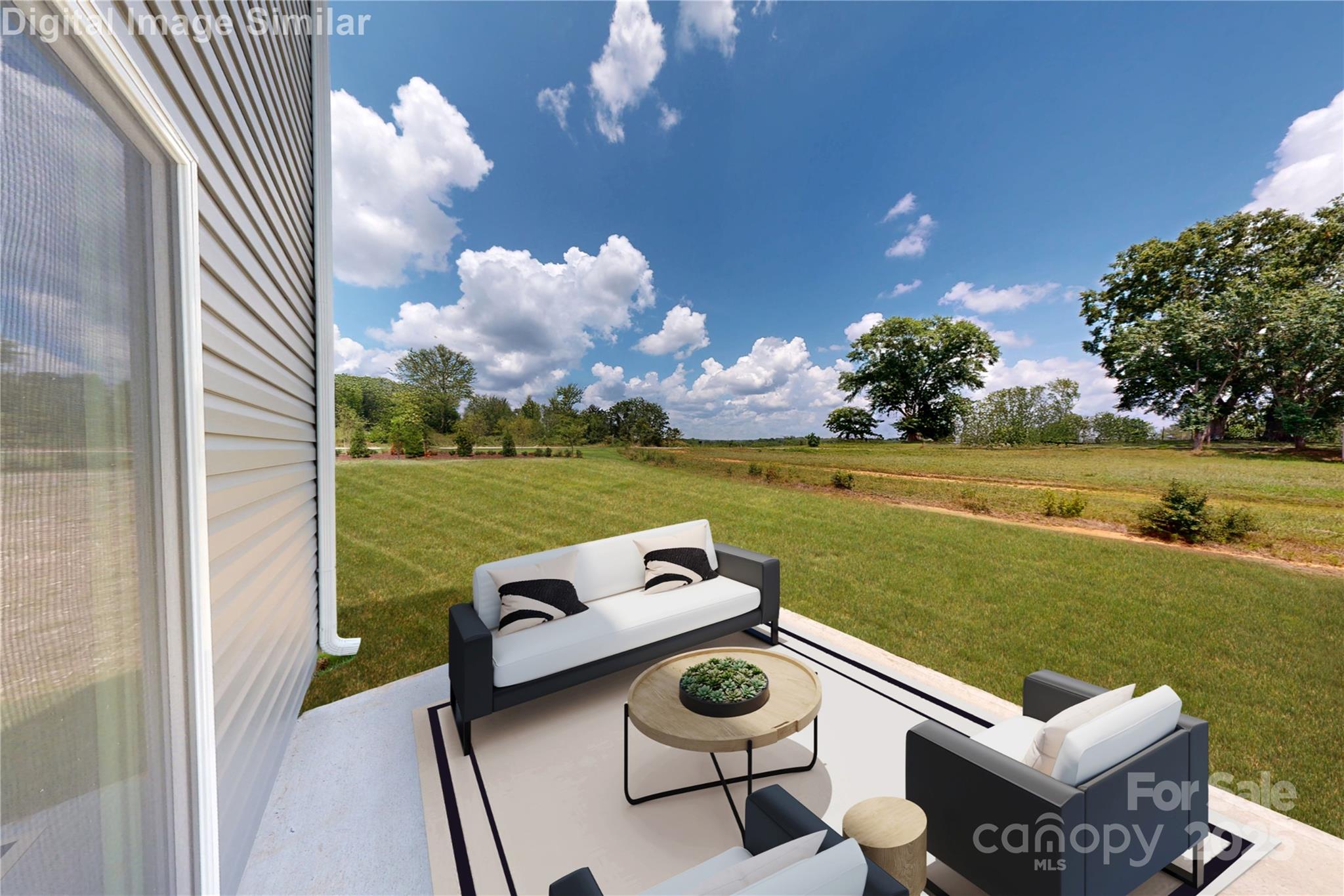 5232 McCallum Meadows Drive — Charlotte