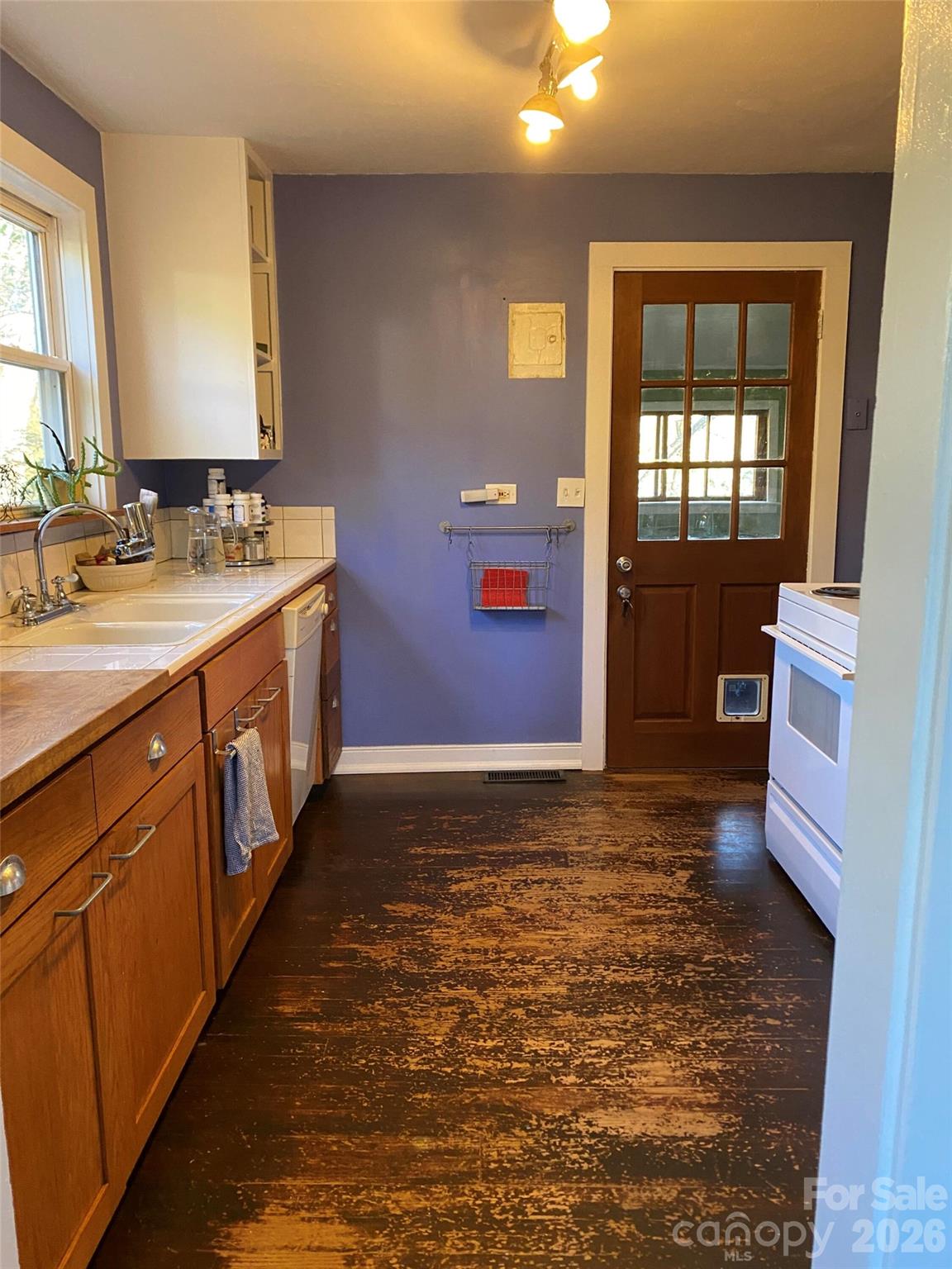 24 Ridge Avenue — Asheville