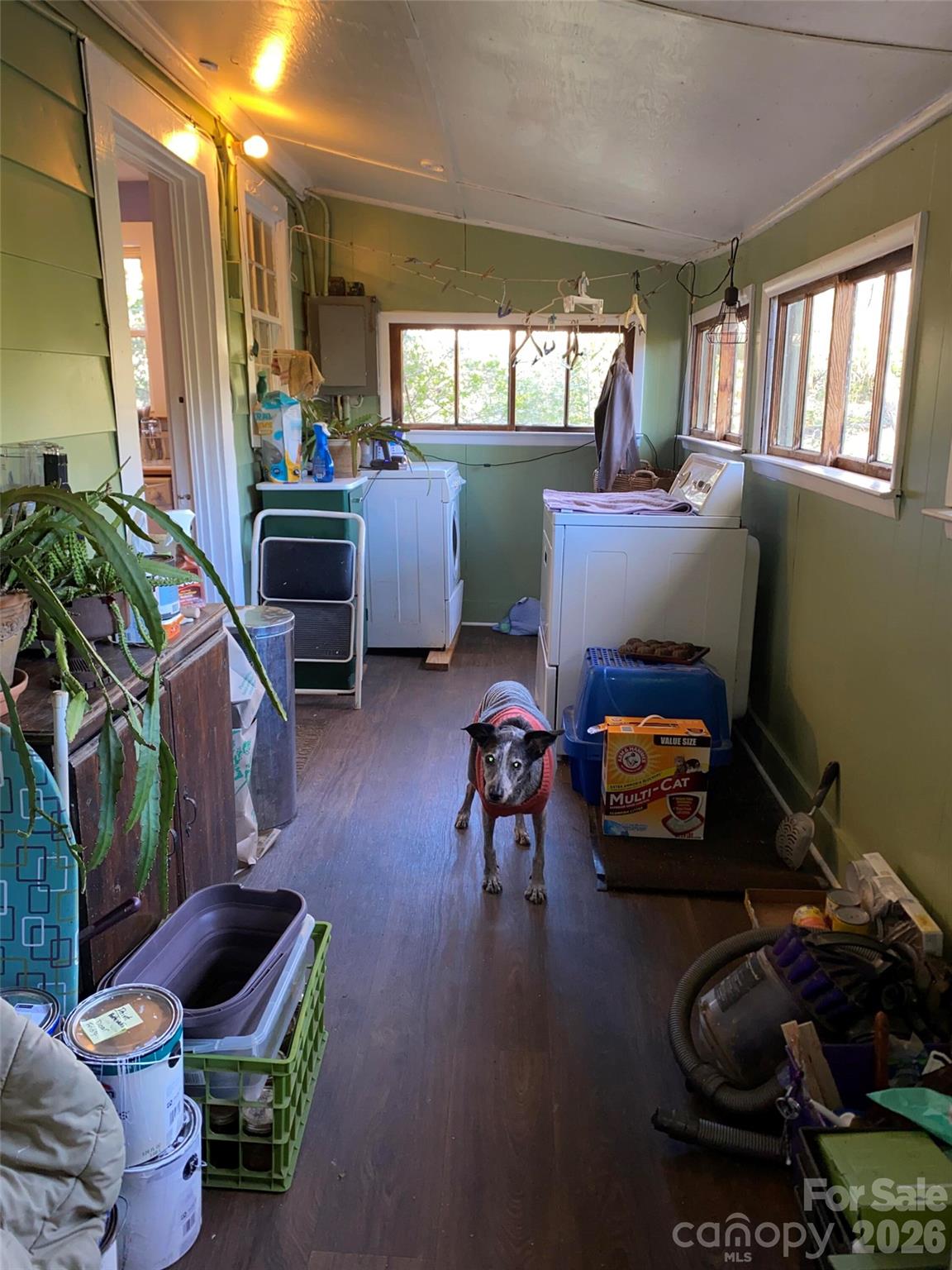 24 Ridge Avenue — Asheville