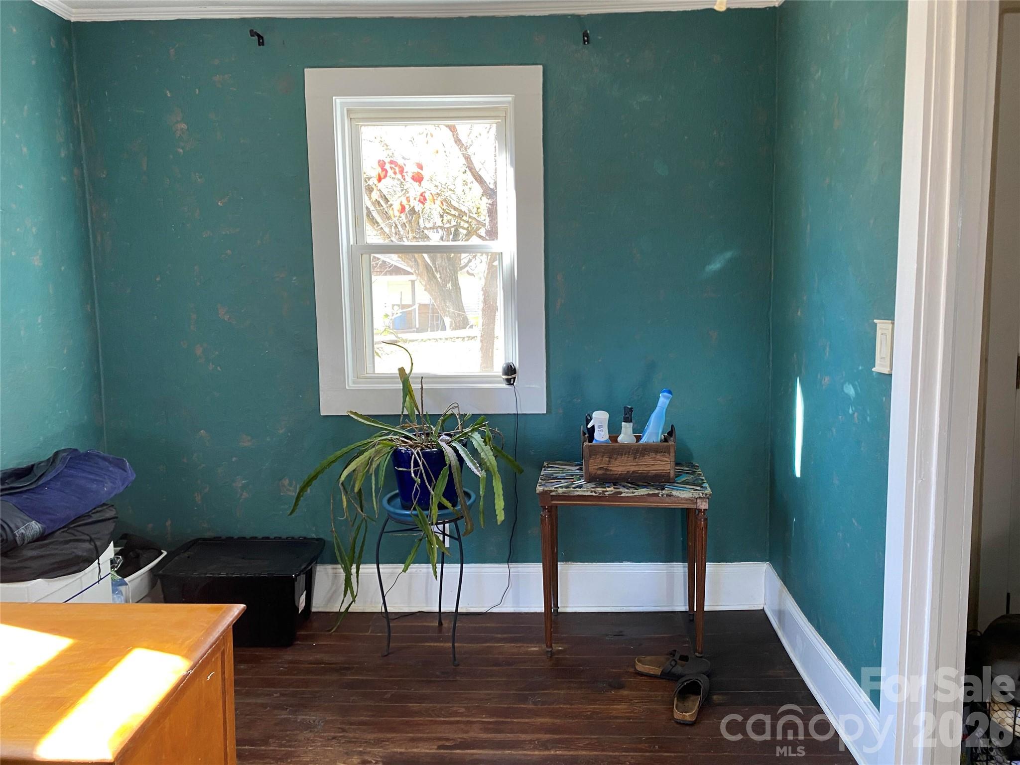 24 Ridge Avenue — Asheville