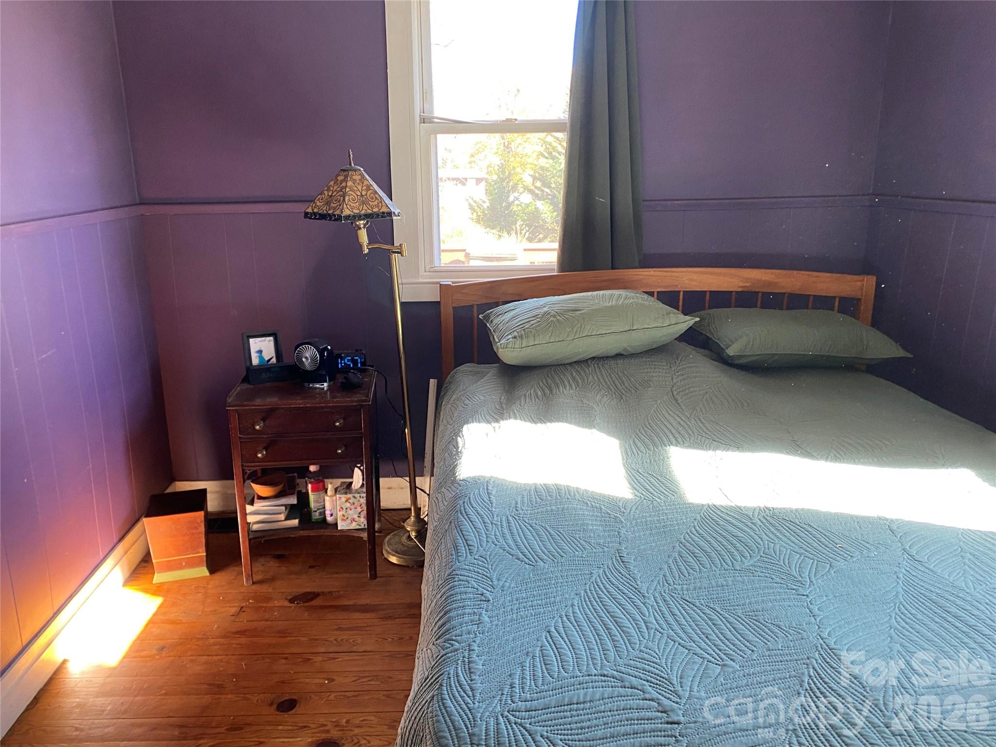 24 Ridge Avenue — Asheville