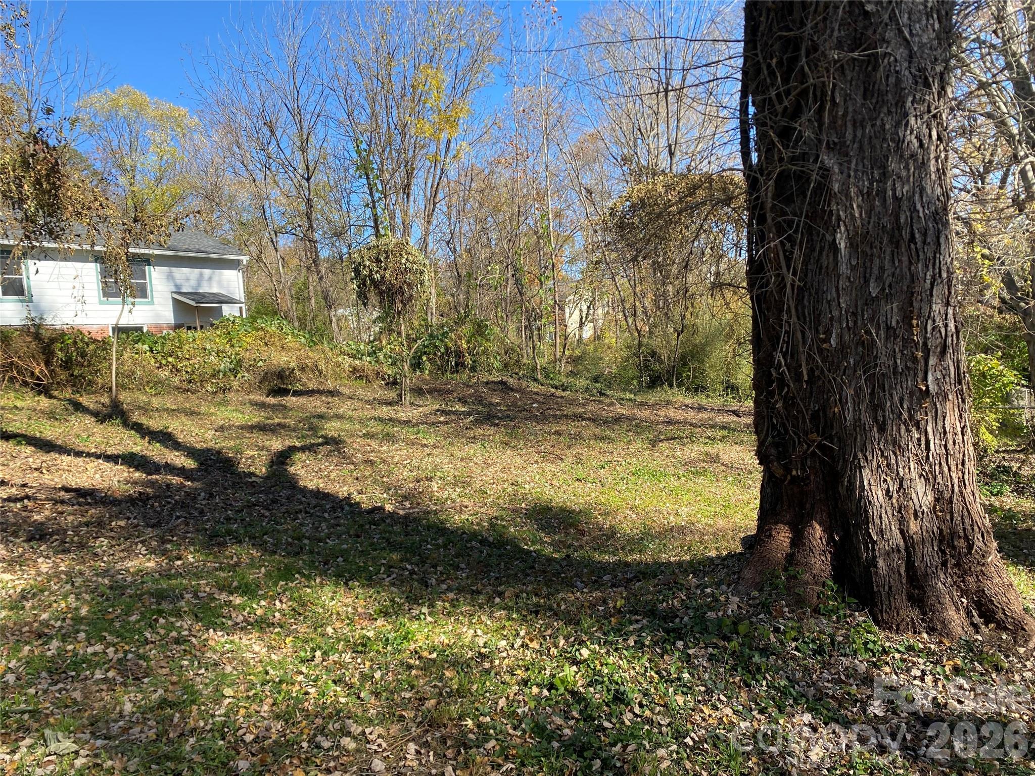 24 Ridge Avenue — Asheville