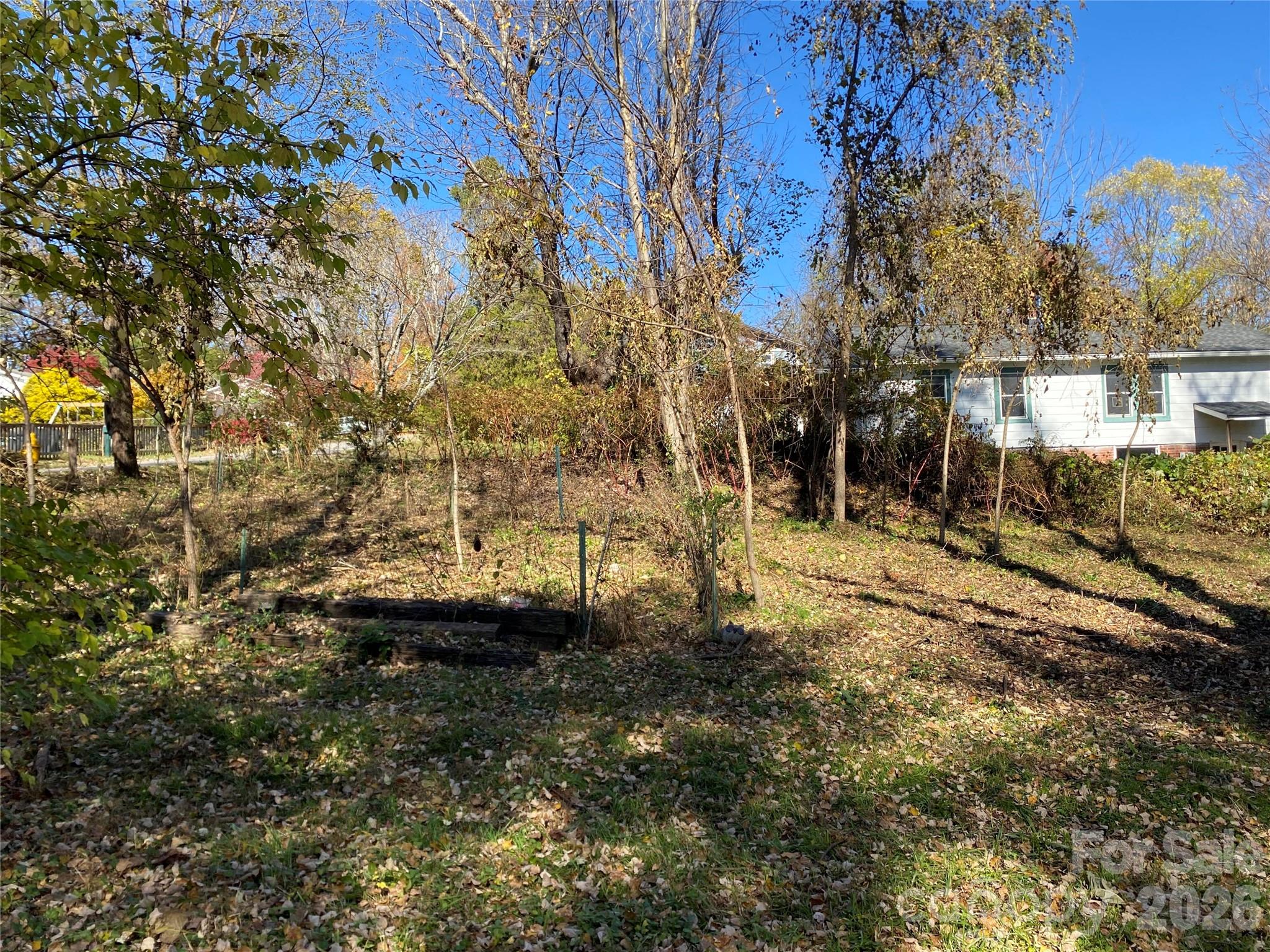 24 Ridge Avenue — Asheville