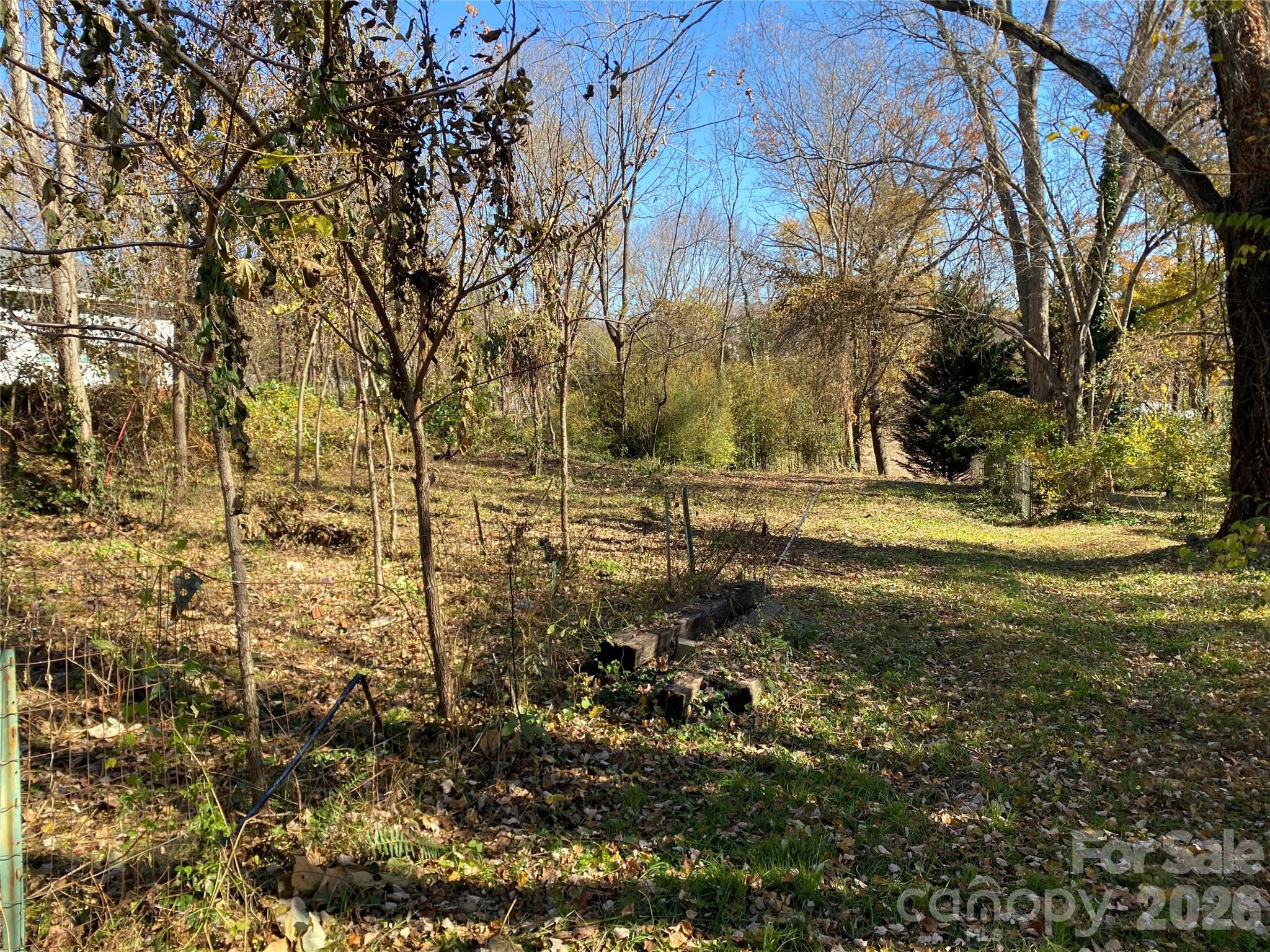 24 Ridge Avenue — Asheville