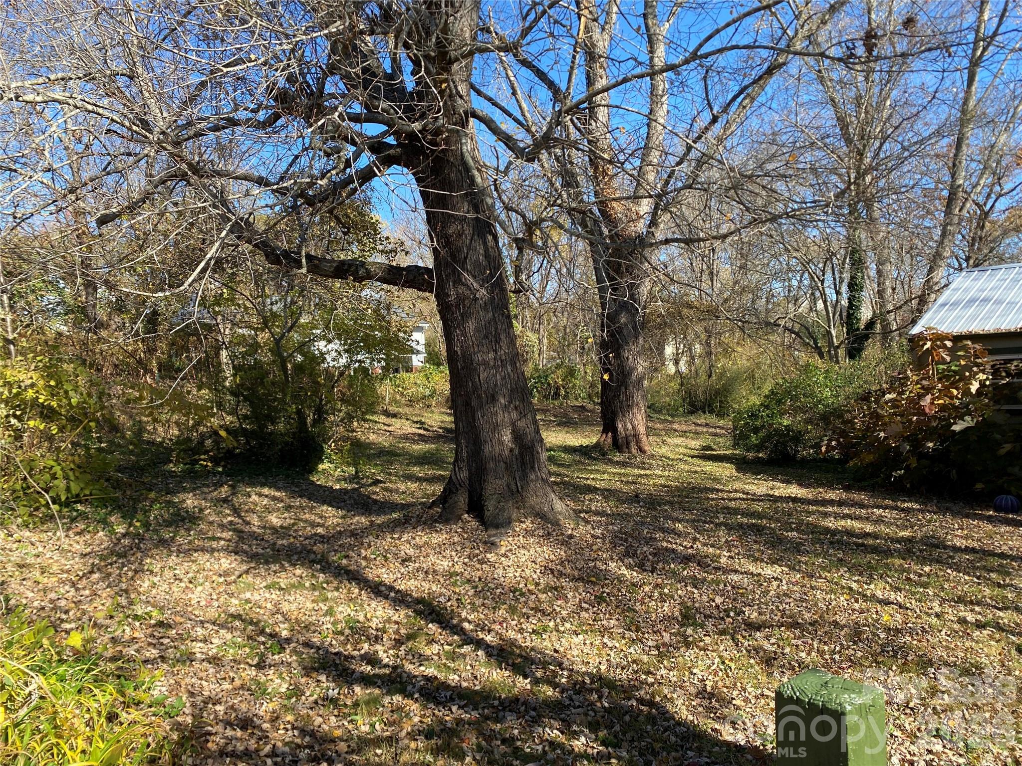 24 Ridge Avenue — Asheville