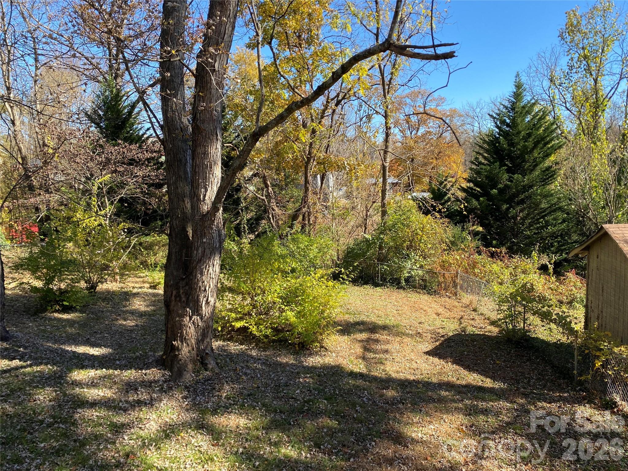 24 Ridge Avenue — Asheville
