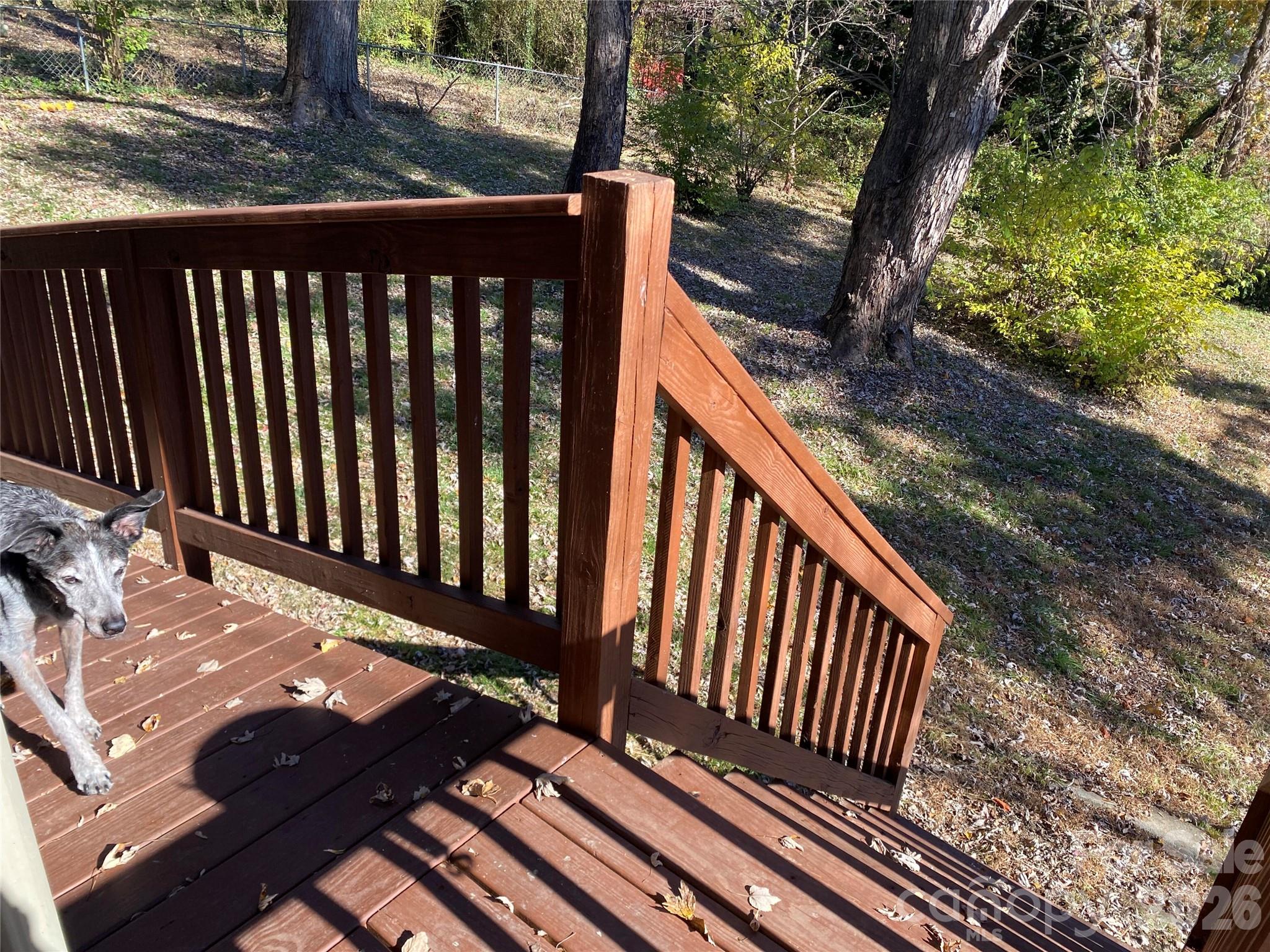 24 Ridge Avenue — Asheville