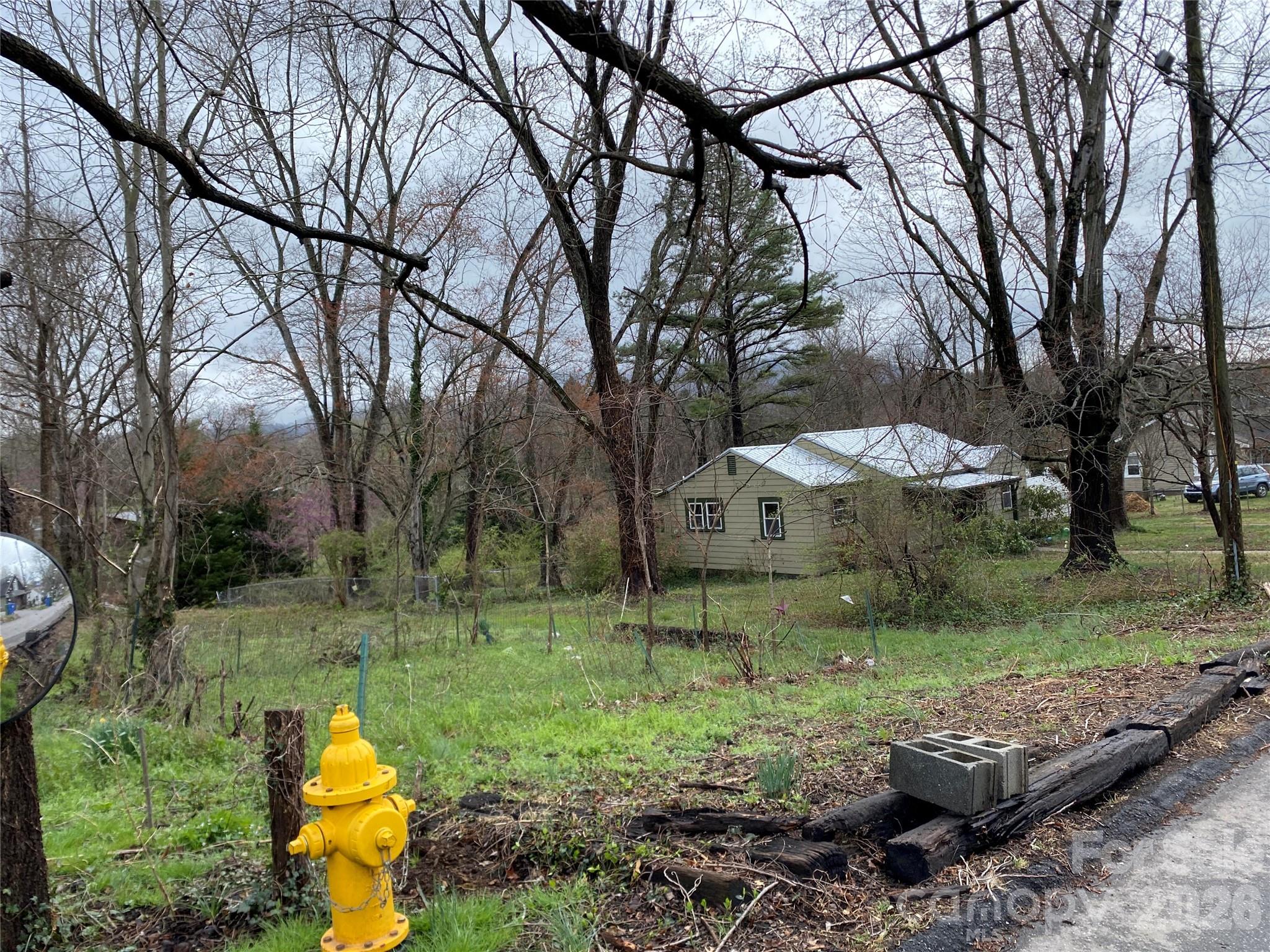 24 Ridge Avenue — Asheville