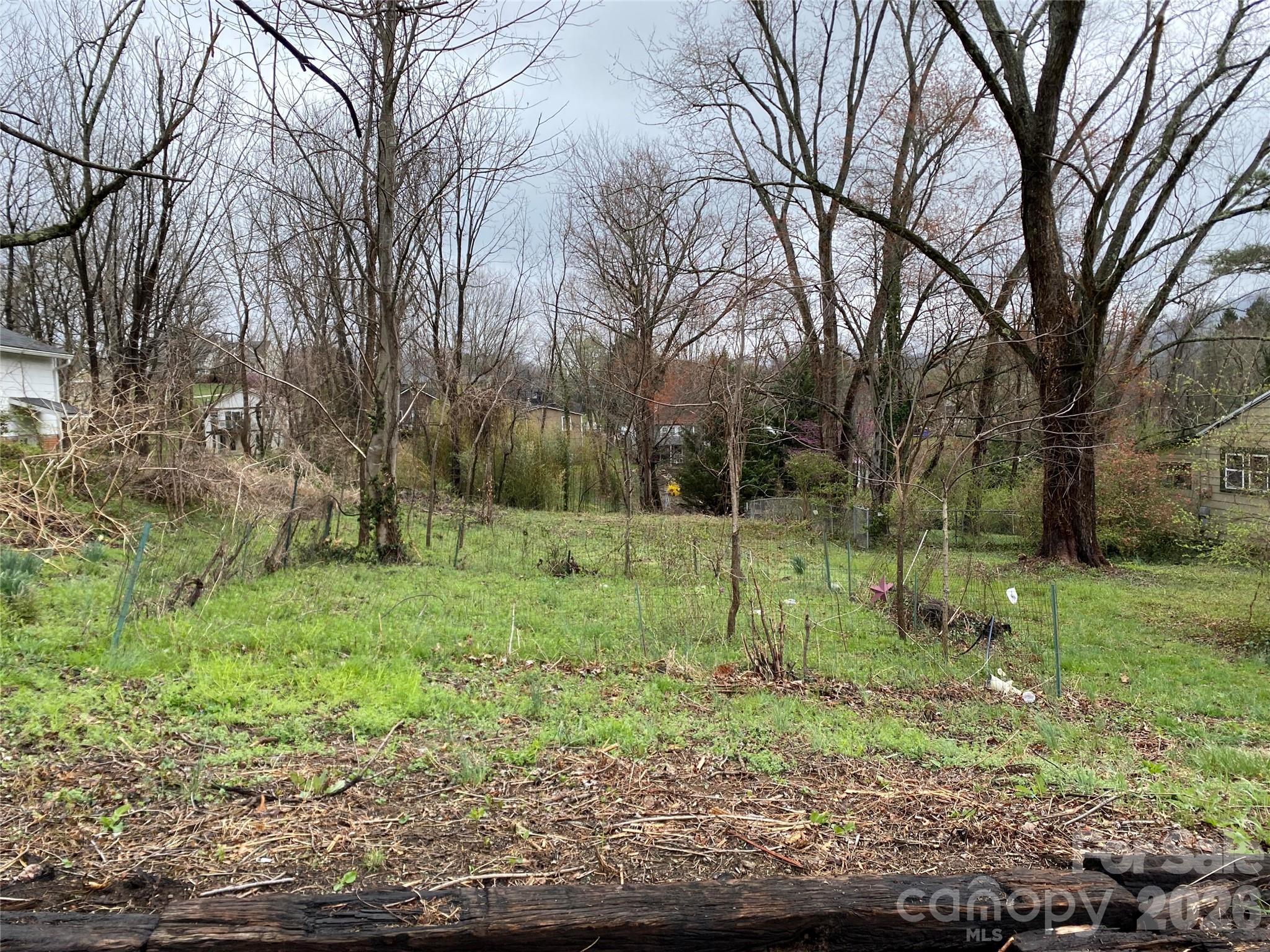 24 Ridge Avenue — Asheville