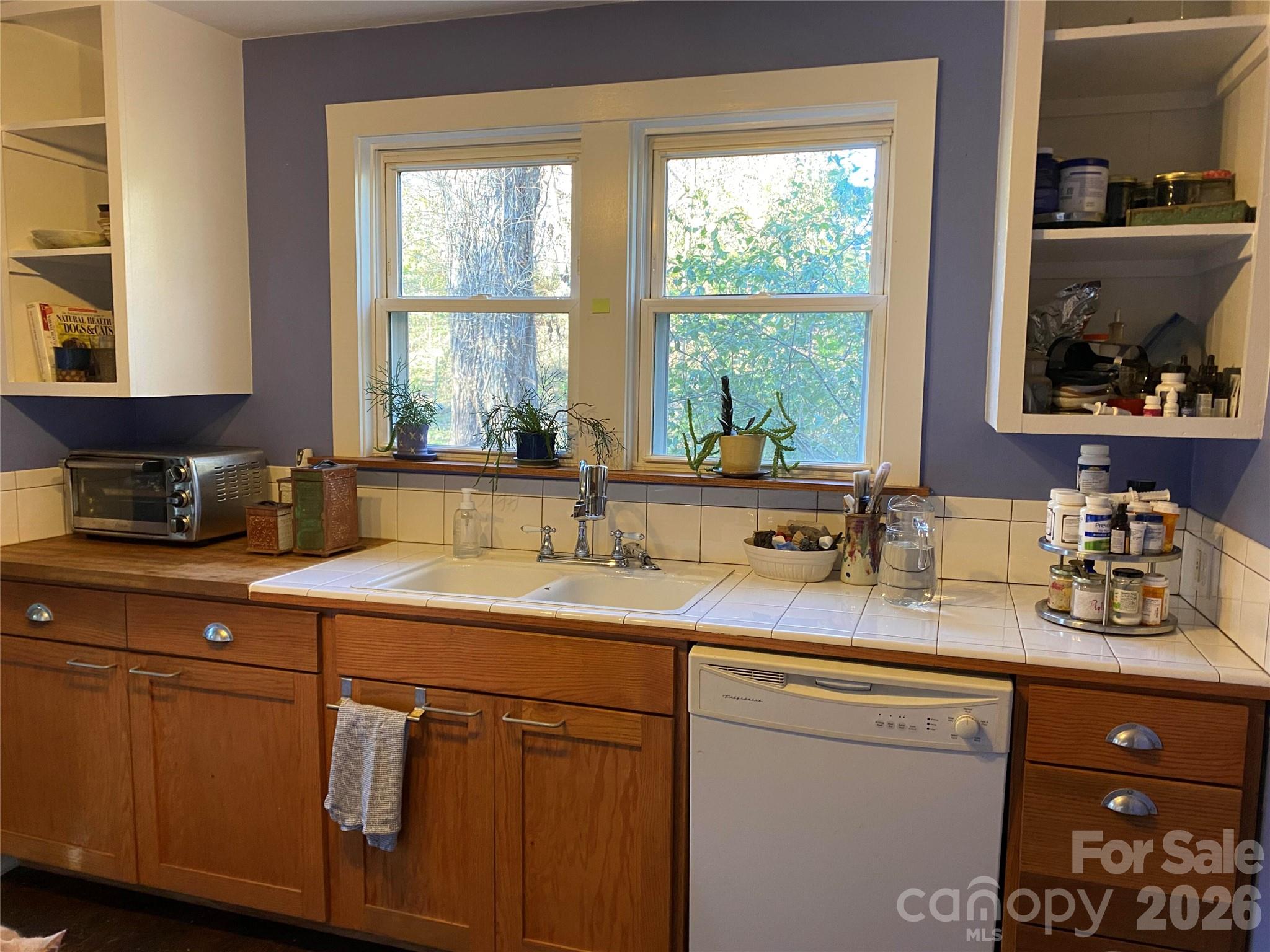 24 Ridge Avenue — Asheville