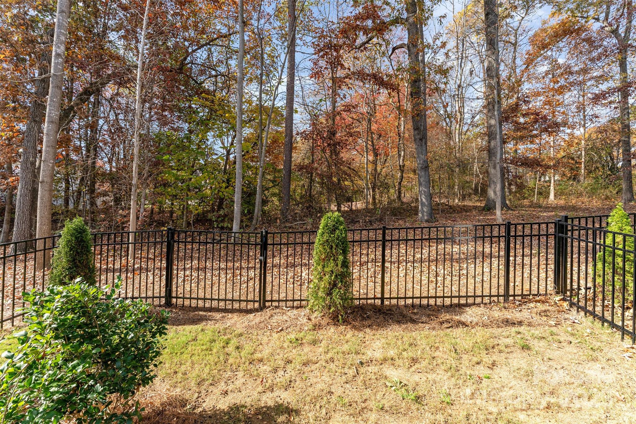 10504 Audubon Ridge Drive — Cornelius