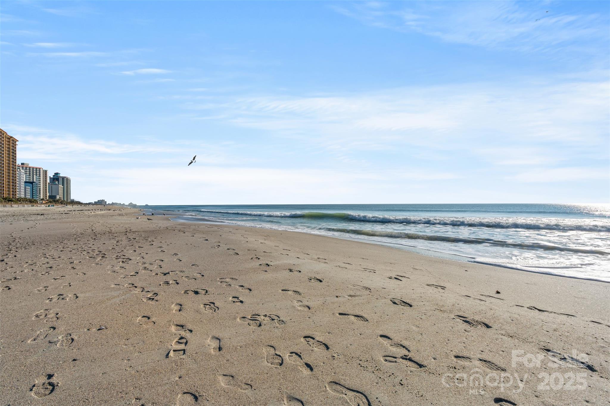 2310 N Ocean Boulevard #202 — Myrtle Beach