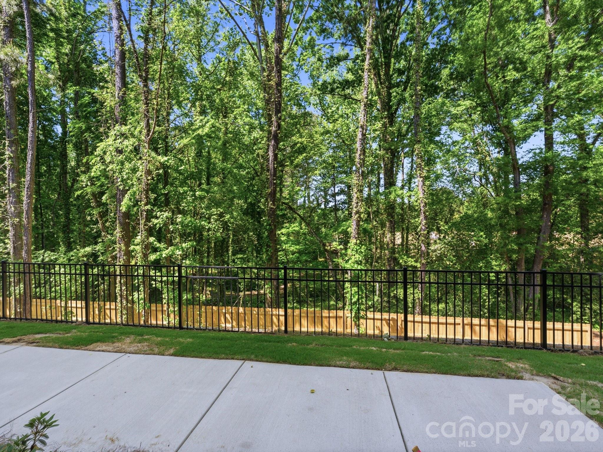 1526 Lithium Lane — Charlotte