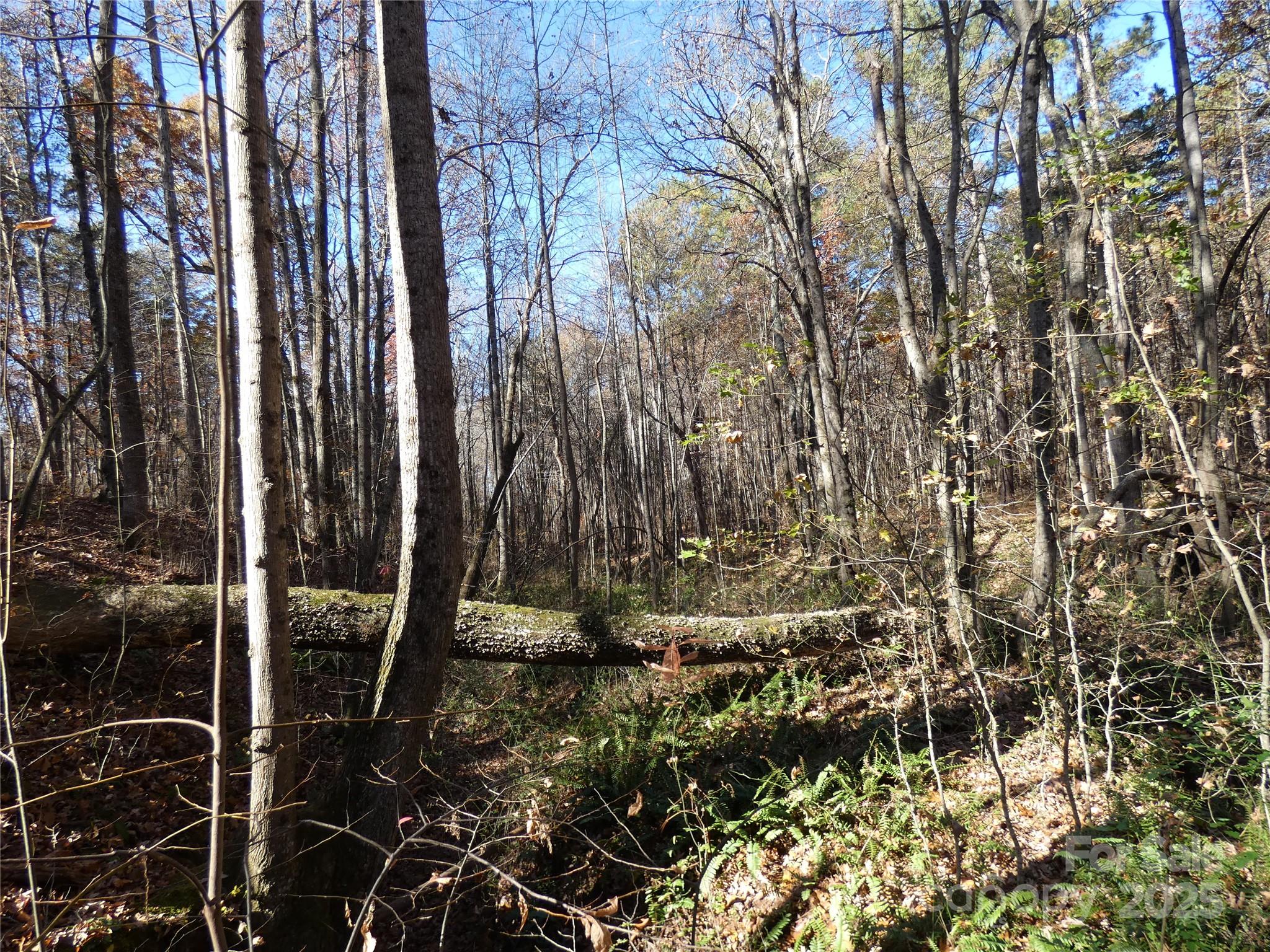 150 Fonda Road — Statesville