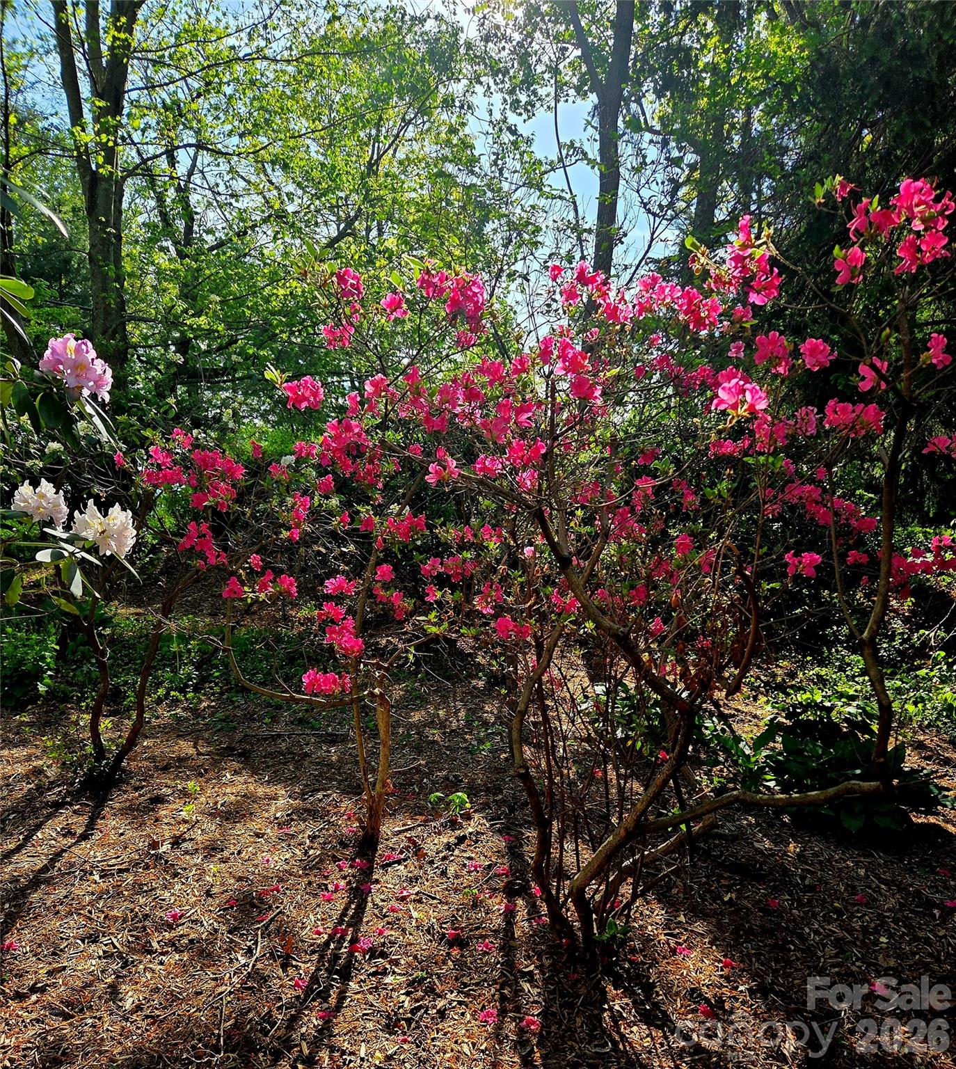 500 N Griffing Boulevard — Asheville