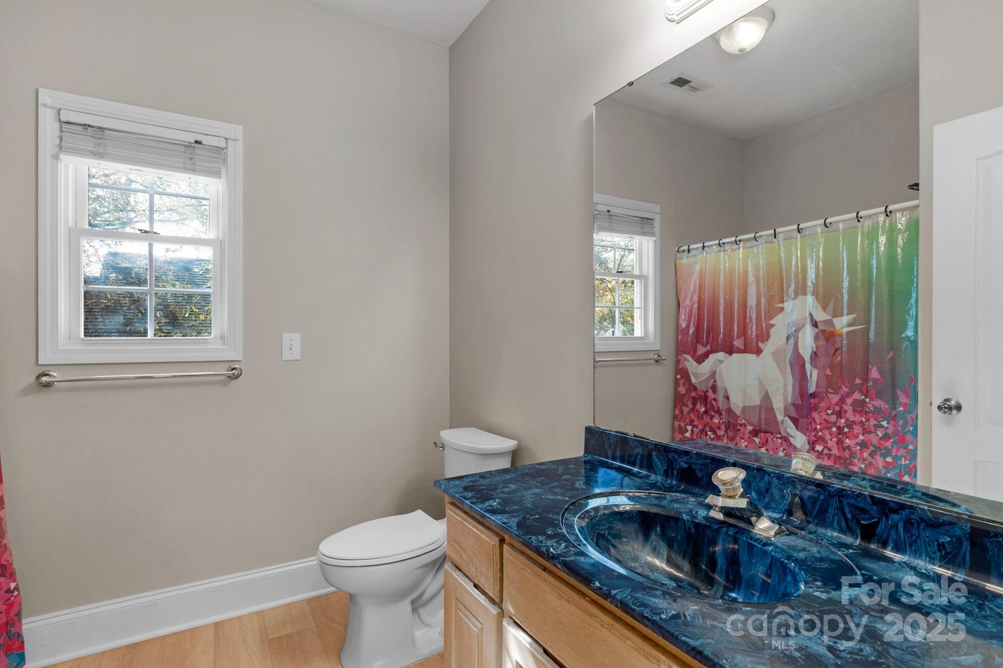 2227 Keswick Lane — Rock Hill