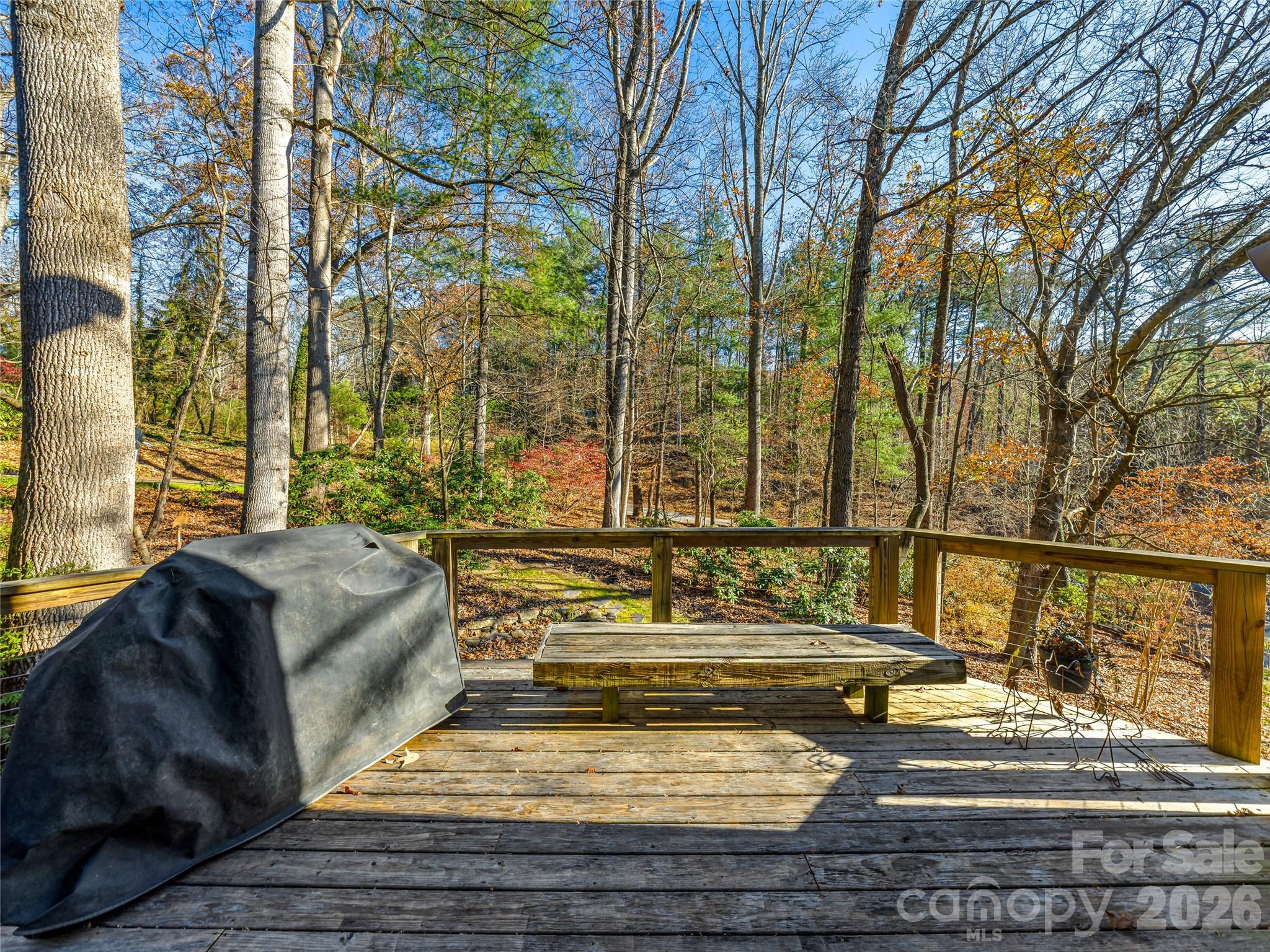 339 Beaverdam Road — Asheville
