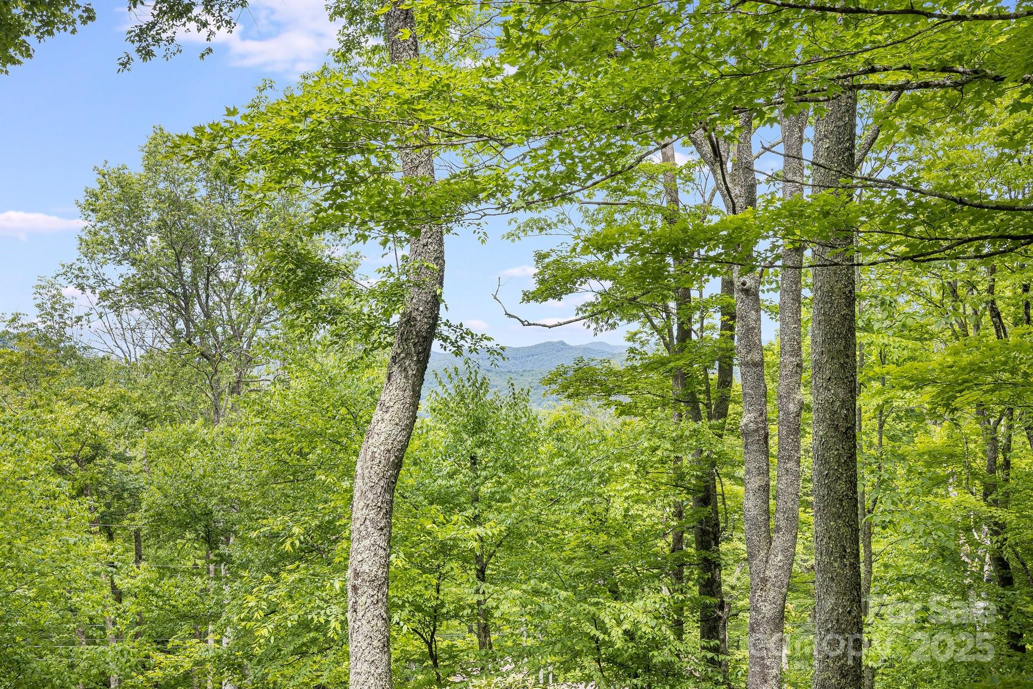 170 Lucas Lane — Mars Hill