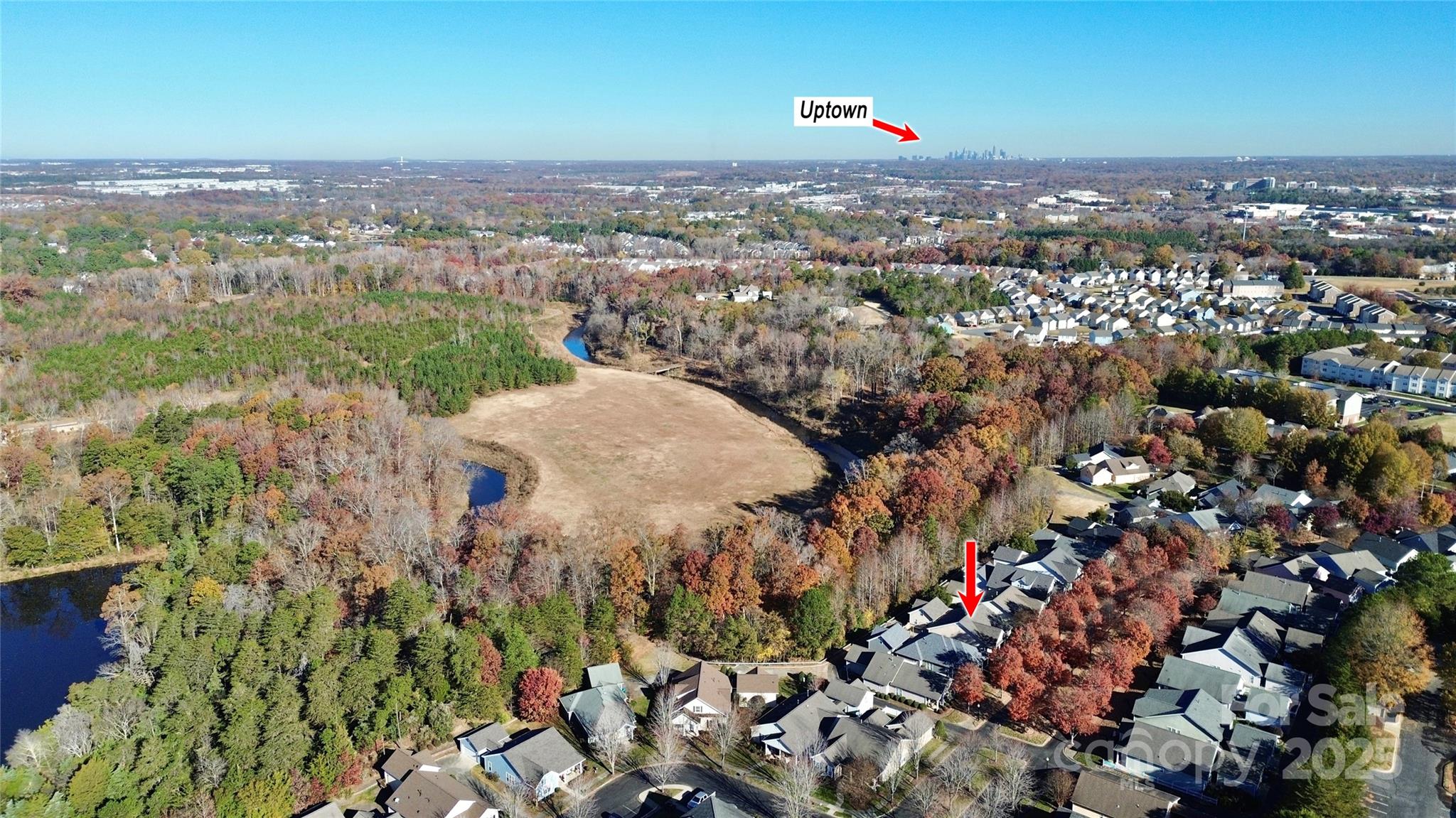 10046 Bishops Gate Boulevard — Pineville