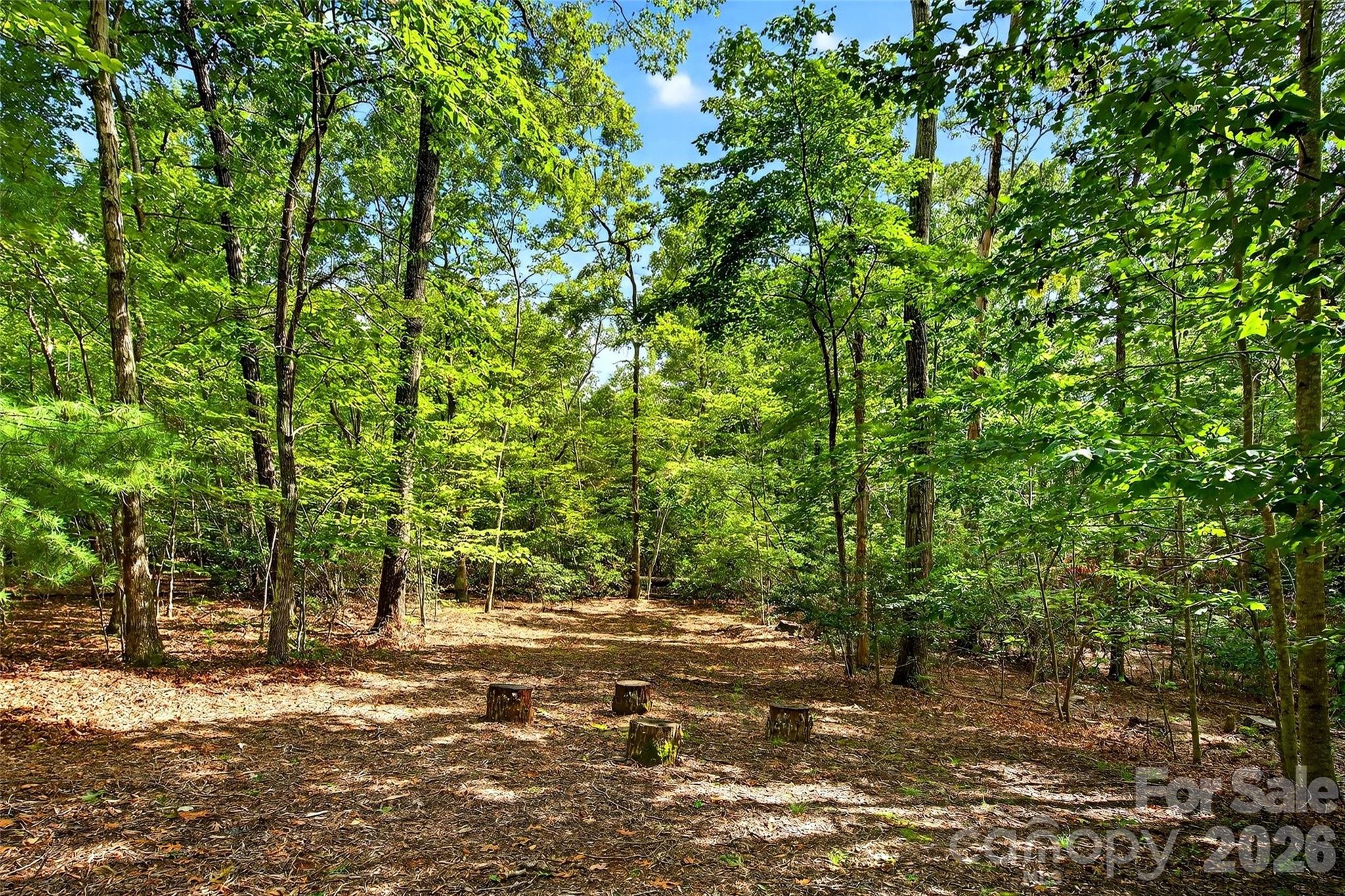 240 Ravenswood Drive — Marion
