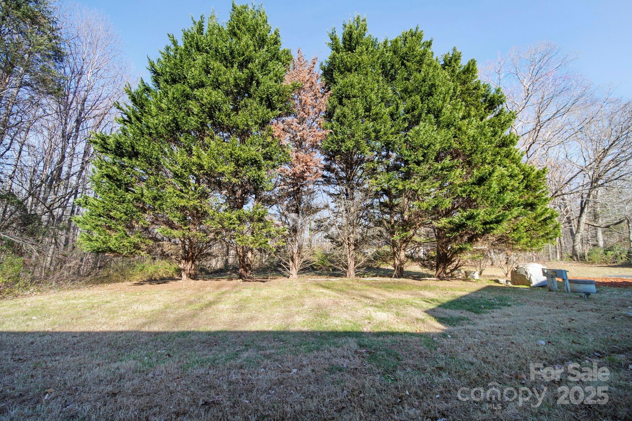 1015 Elizabeth Drive — Dallas