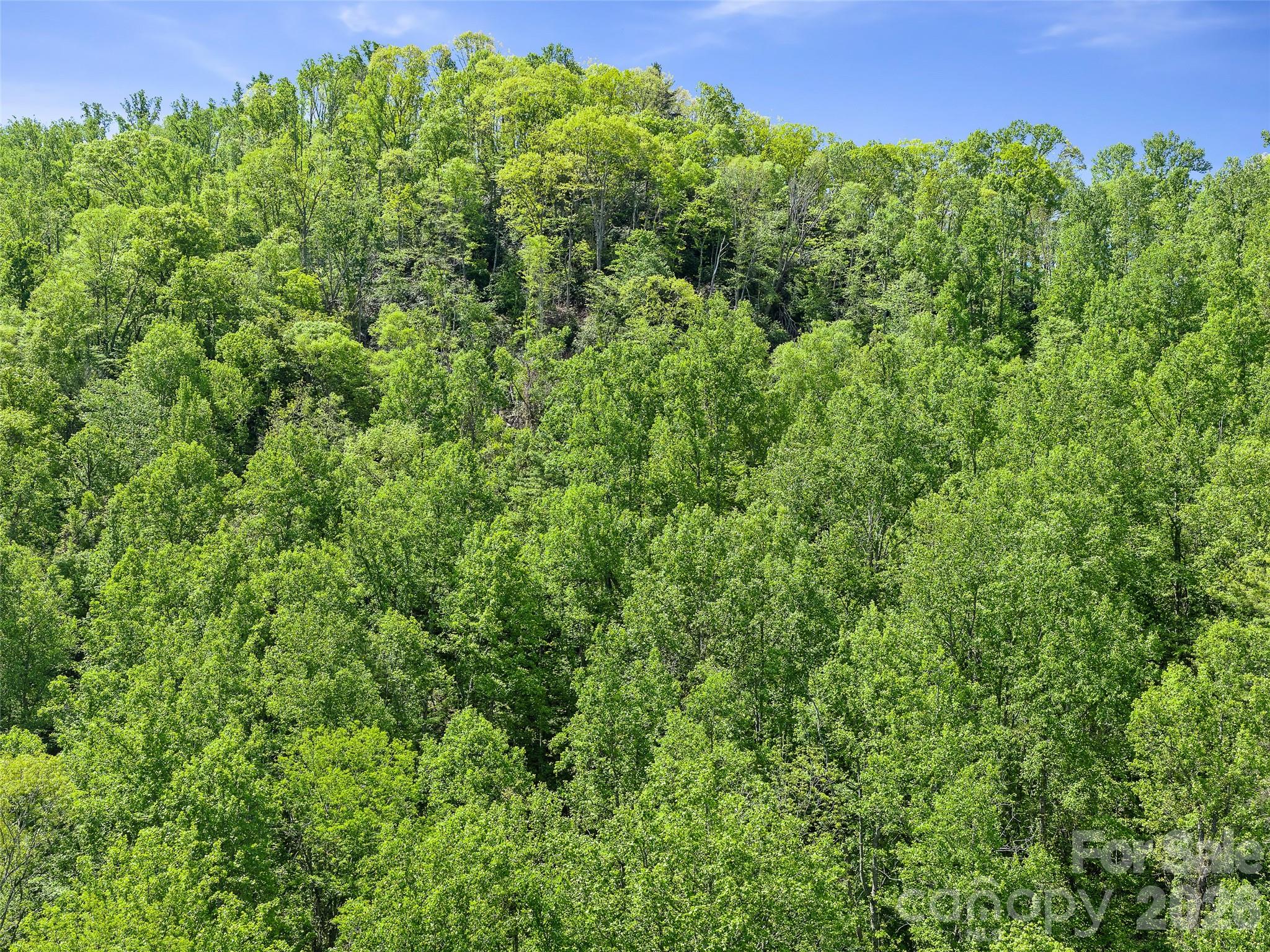 615 Fred Sparks Road — Bakersville