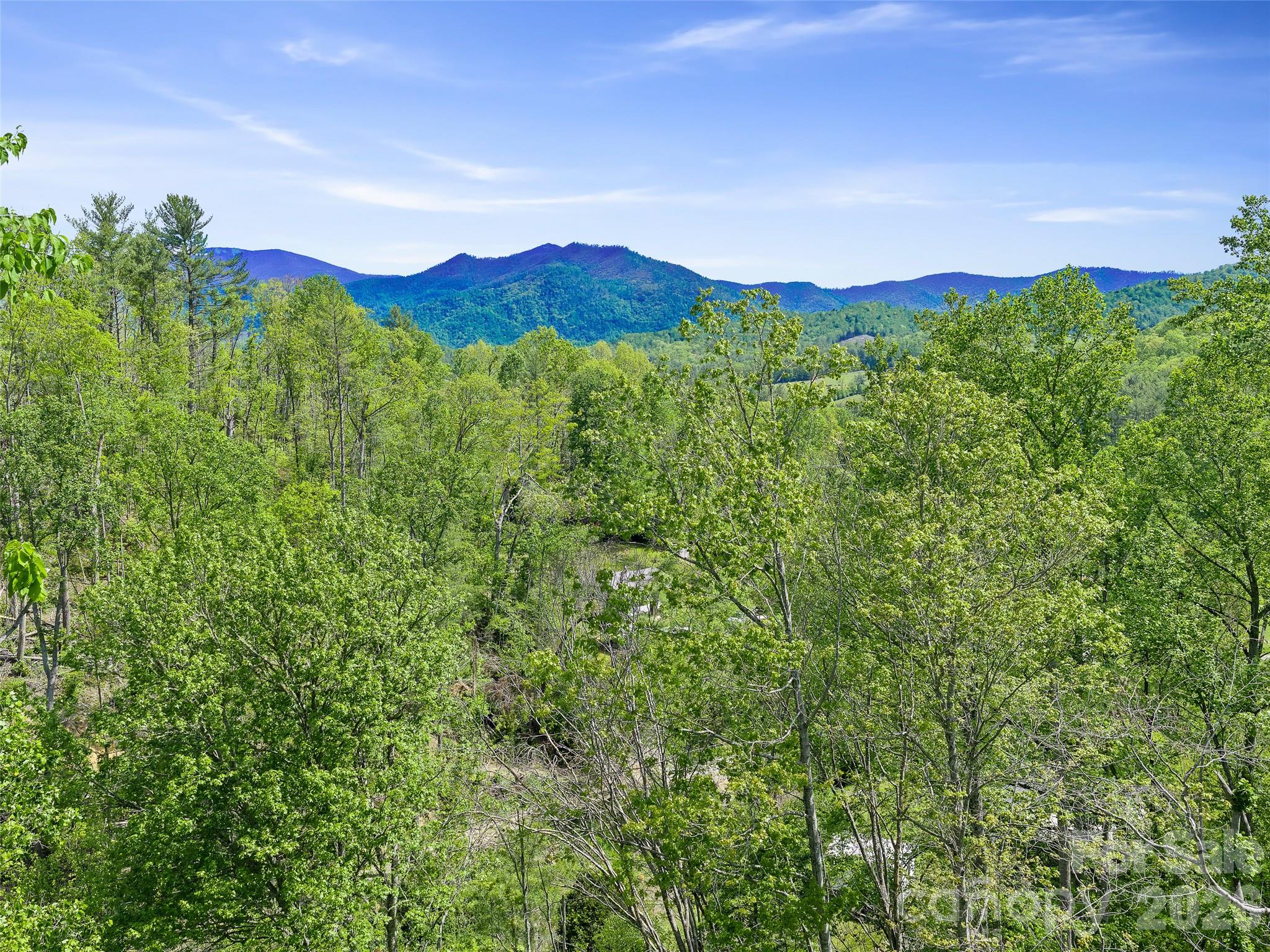 615 Fred Sparks Road — Bakersville