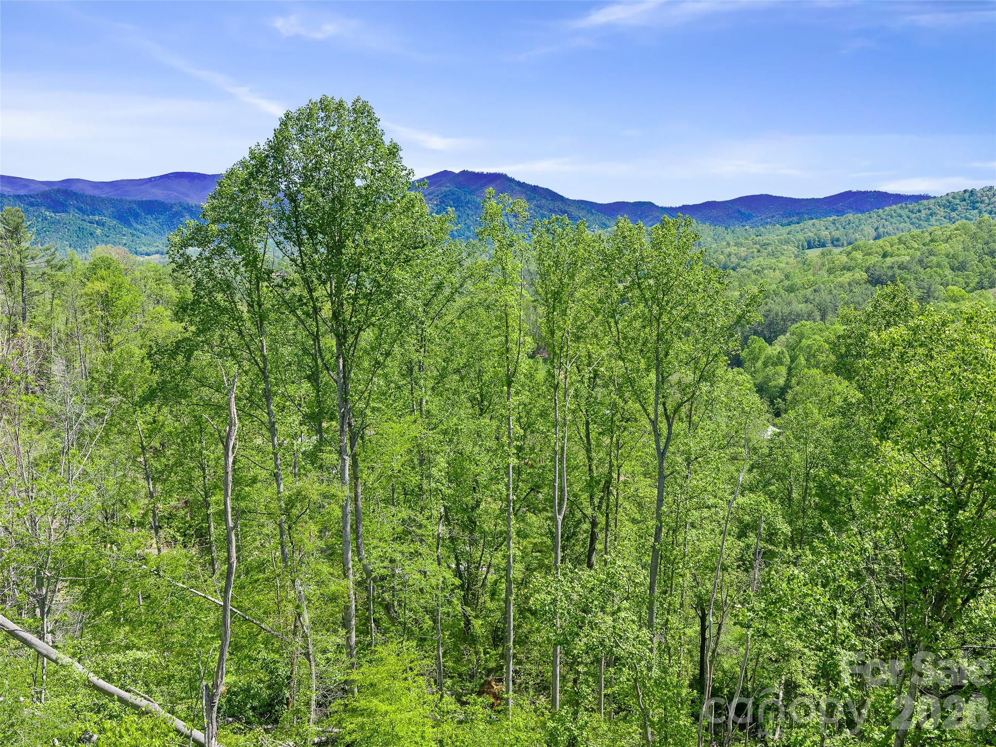 615 Fred Sparks Road — Bakersville