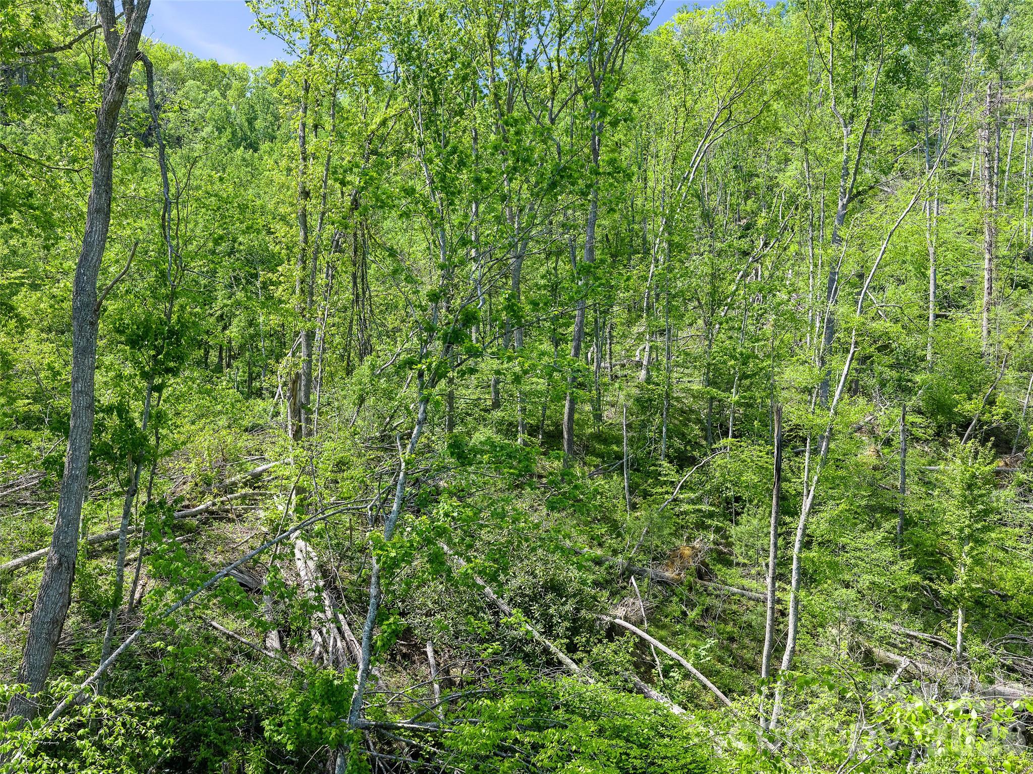 615 Fred Sparks Road — Bakersville